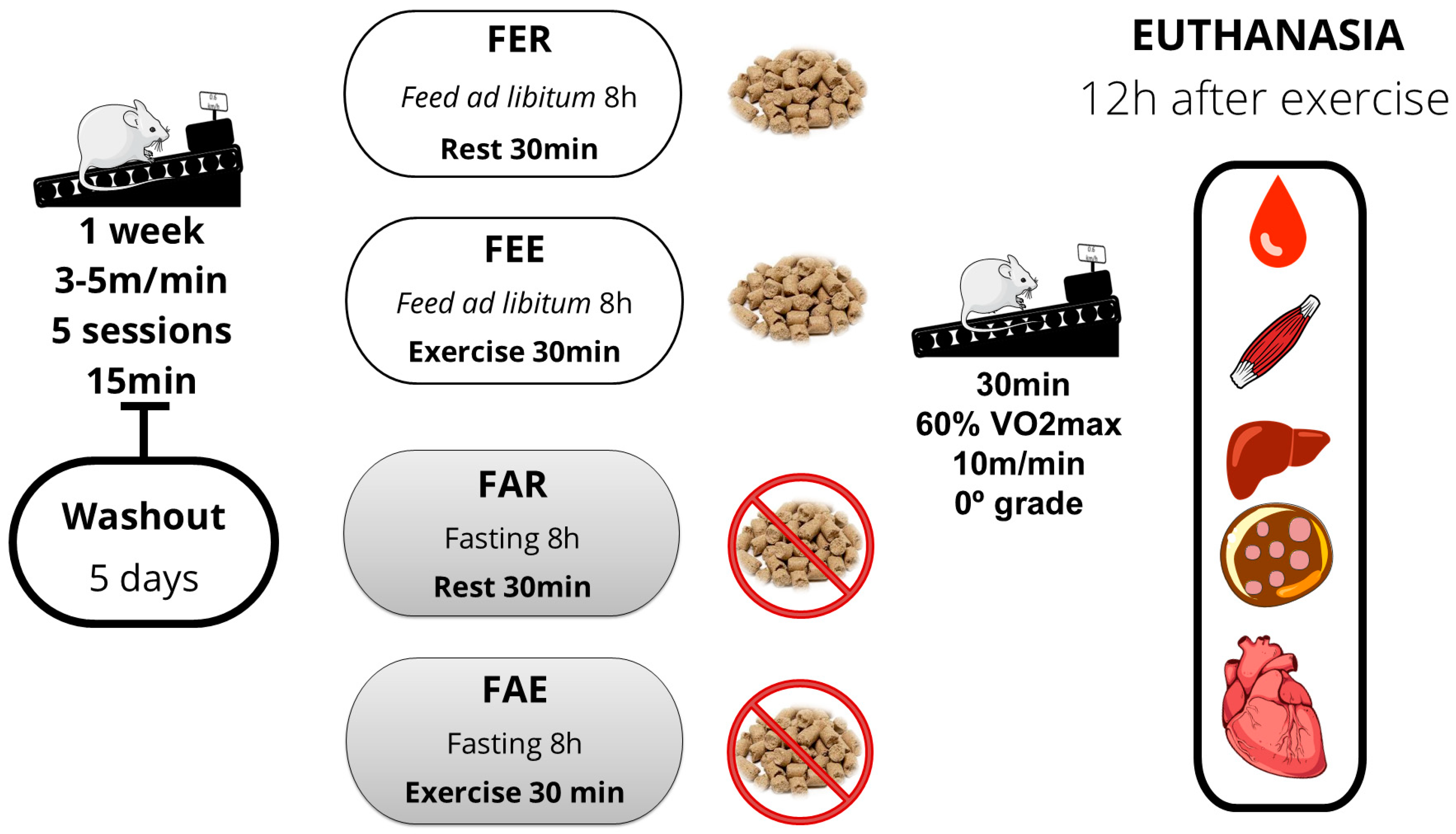 Nutrients 16 03529 g001 Nutrients 16 03529 g001