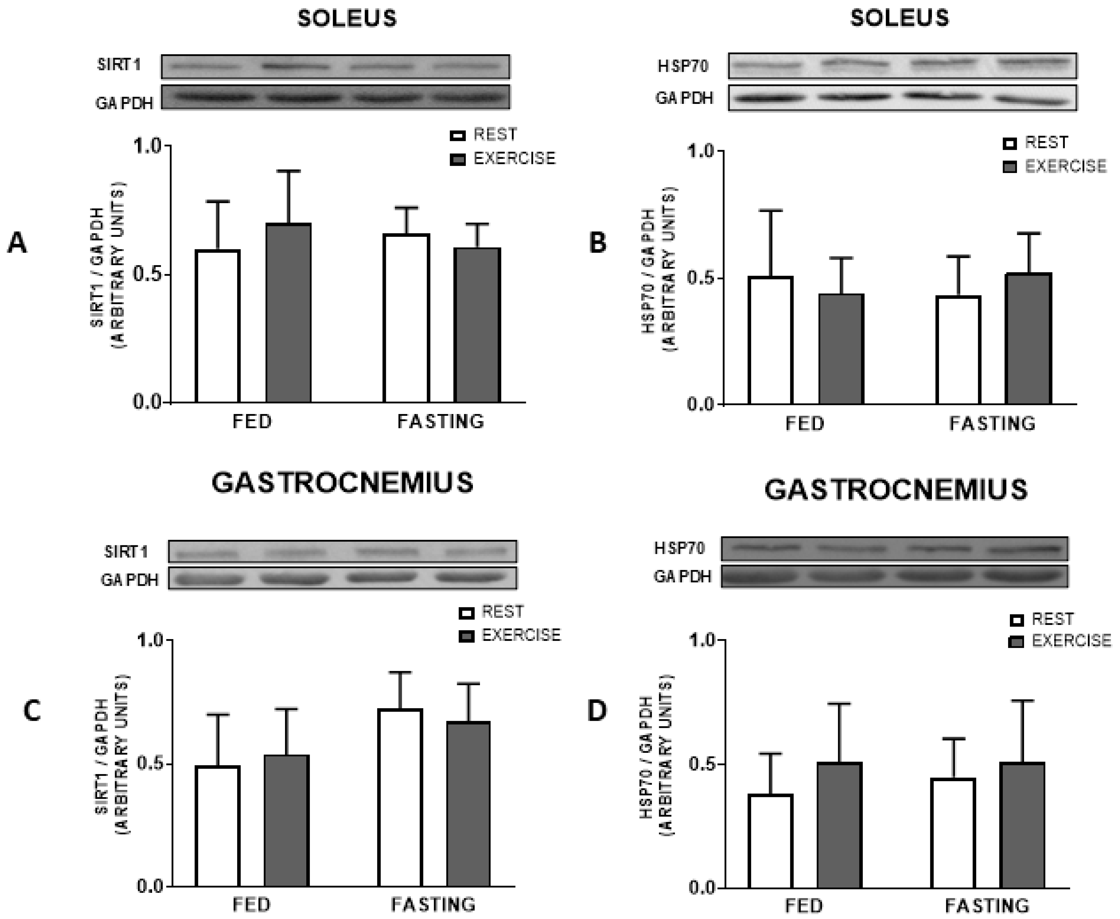 Nutrients 16 03529 g005 Nutrients 16 03529 g005
