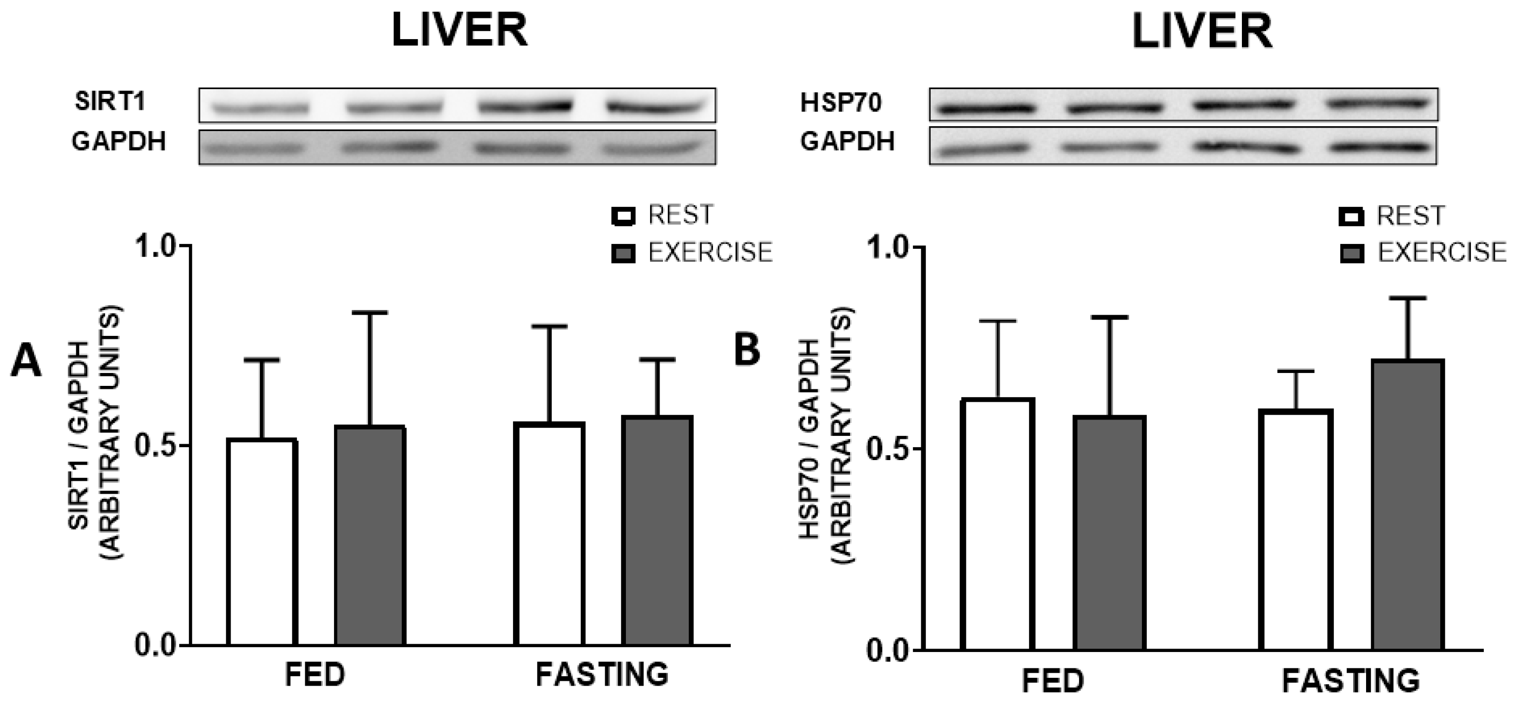 Nutrients 16 03529 g006 Nutrients 16 03529 g006