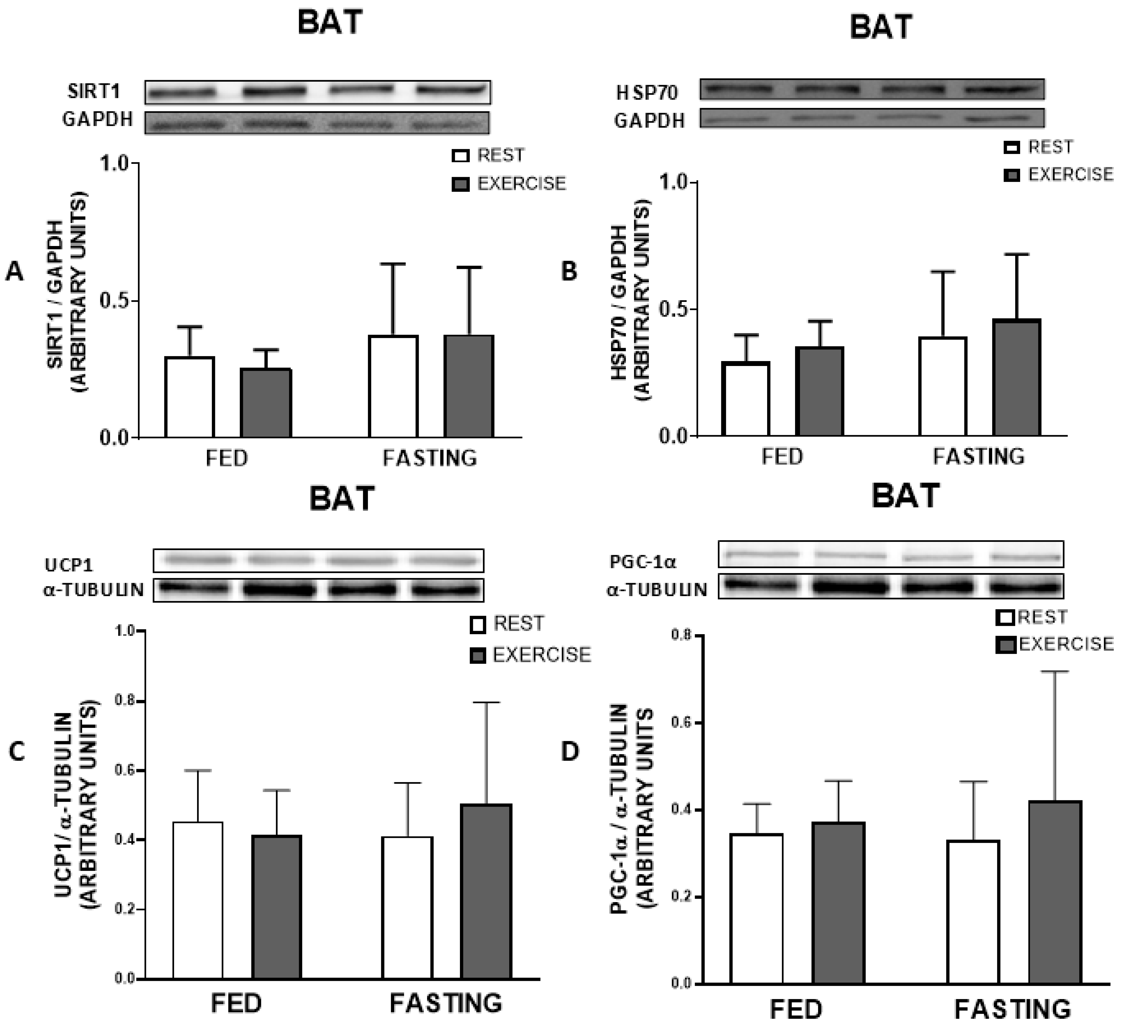 Nutrients 16 03529 g007 Nutrients 16 03529 g007