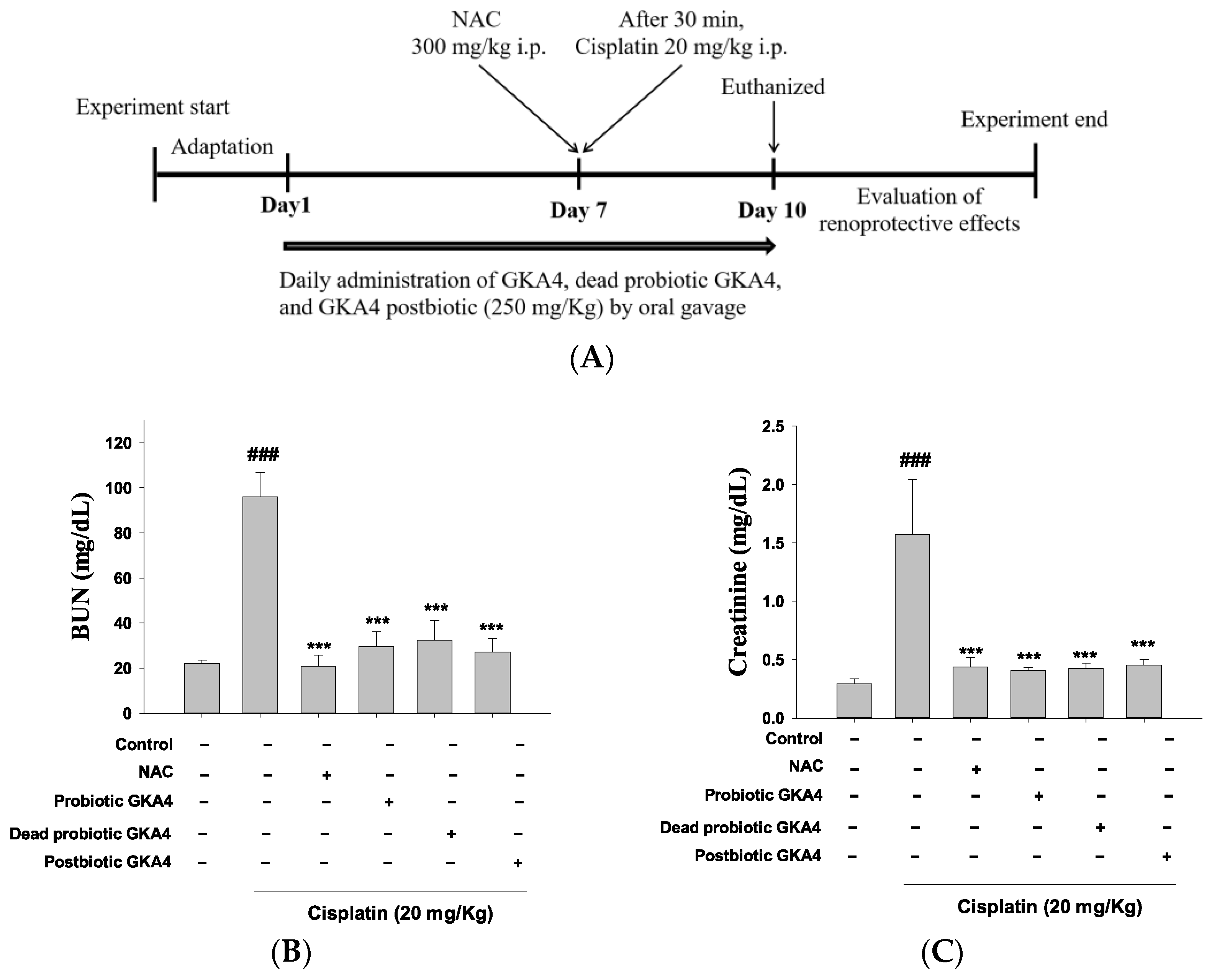 Nutrients 16 03532 g001a Nutrients 16 03532 g001a
