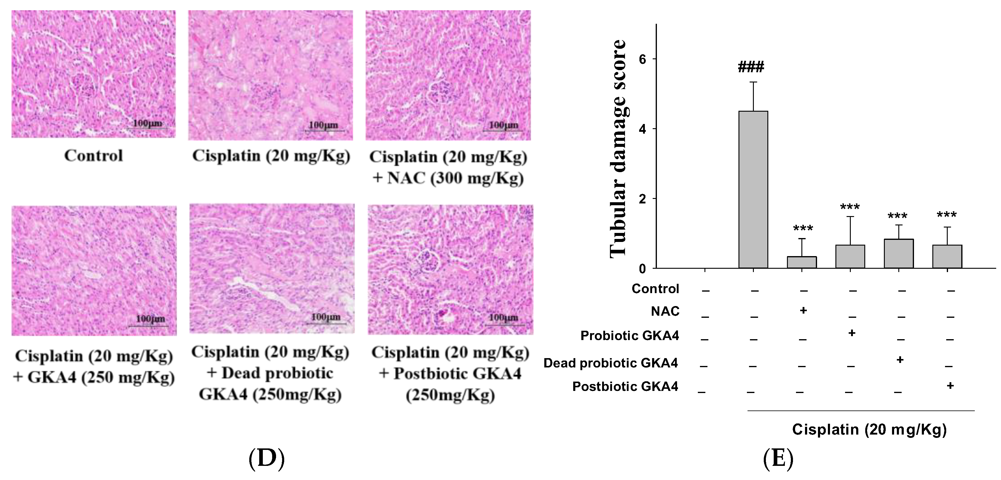 Nutrients 16 03532 g001b Nutrients 16 03532 g001b