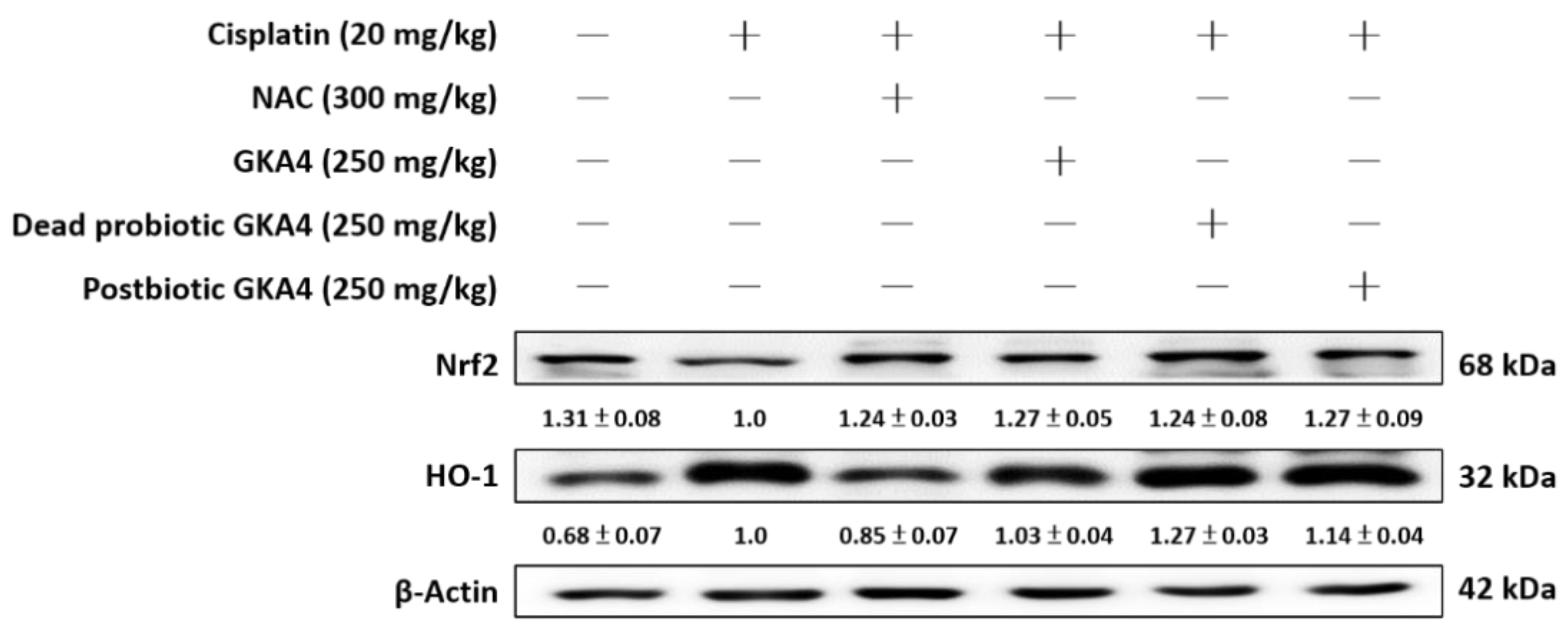Nutrients 16 03532 g003 Nutrients 16 03532 g003