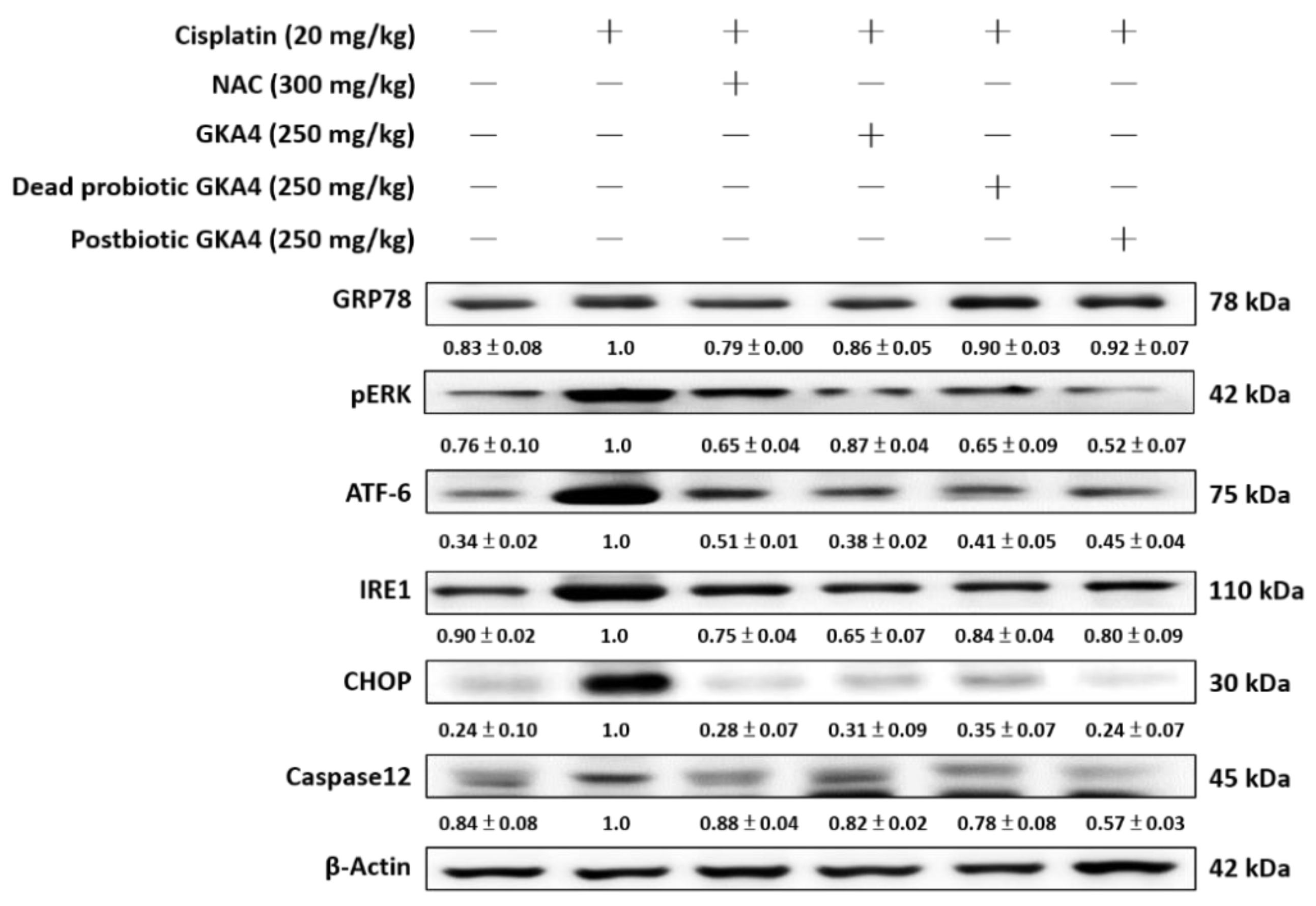 Nutrients 16 03532 g006 Nutrients 16 03532 g006