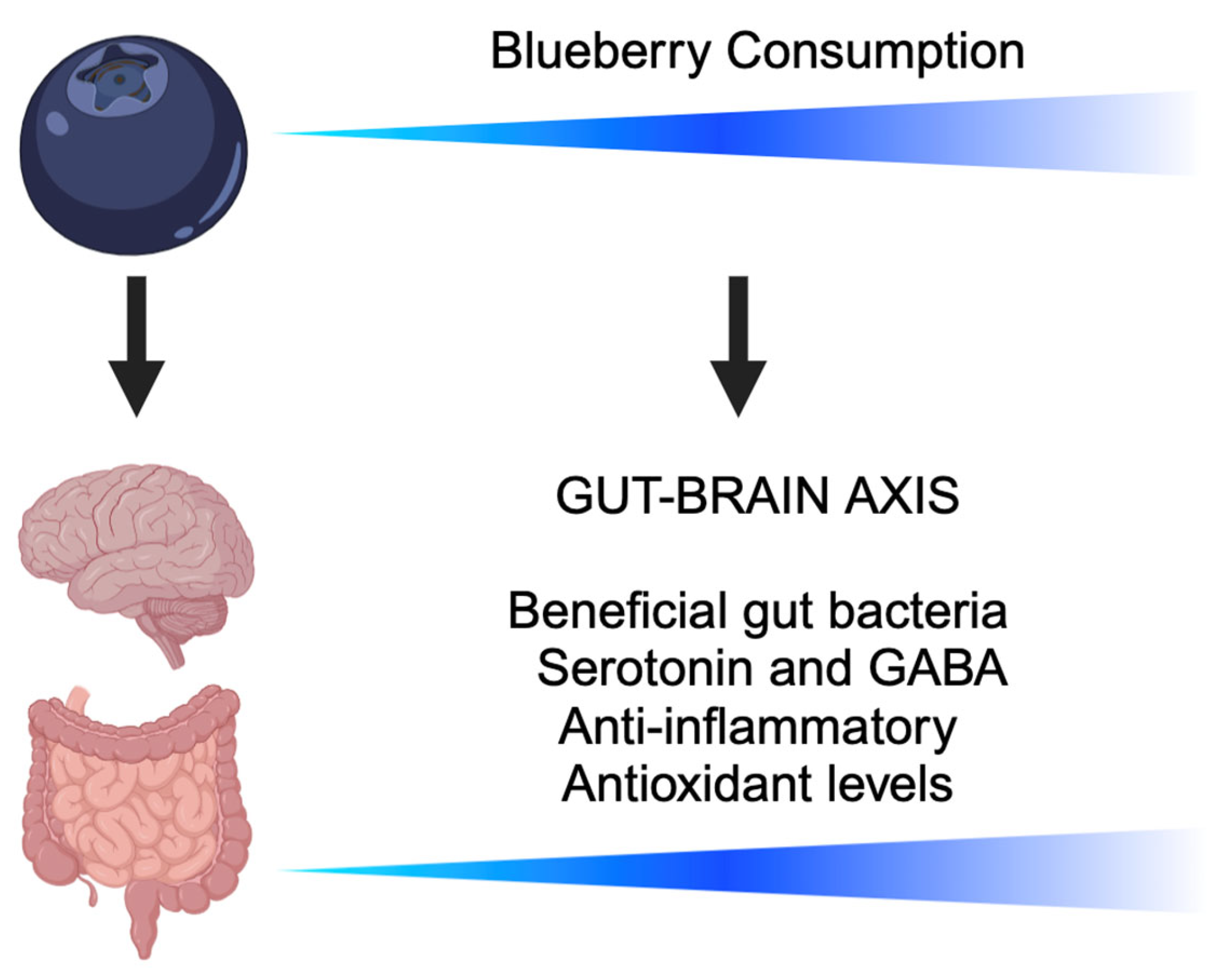 Nutrients 16 03539 g002 Nutrients 16 03539 g002