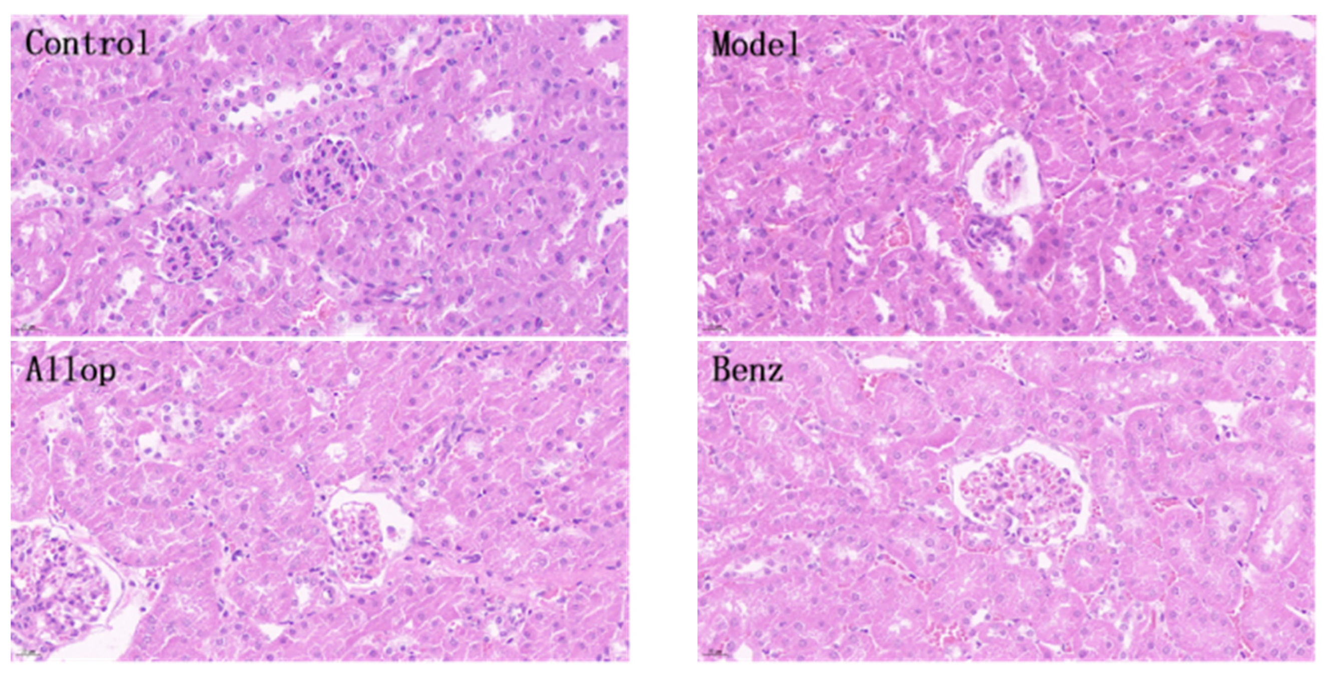 Nutrients 16 03549 g007a