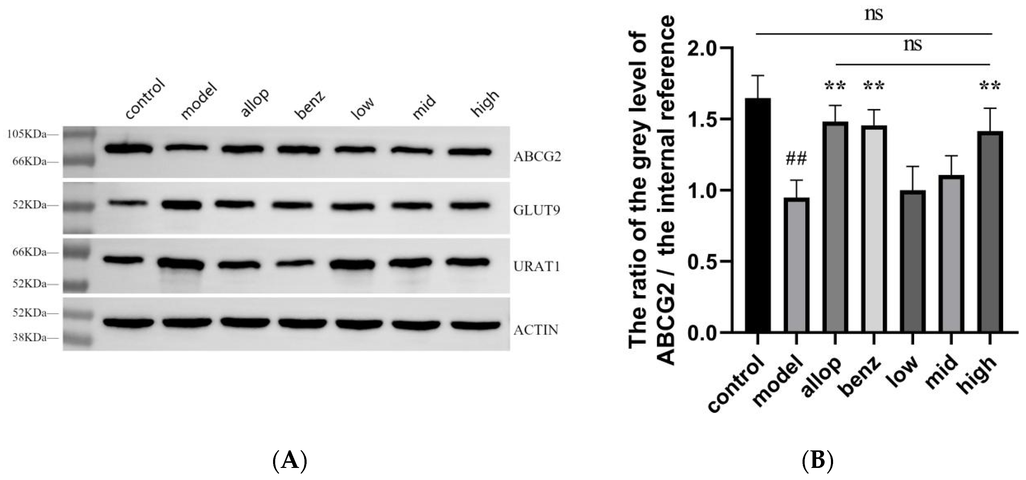 Nutrients 16 03549 g008a