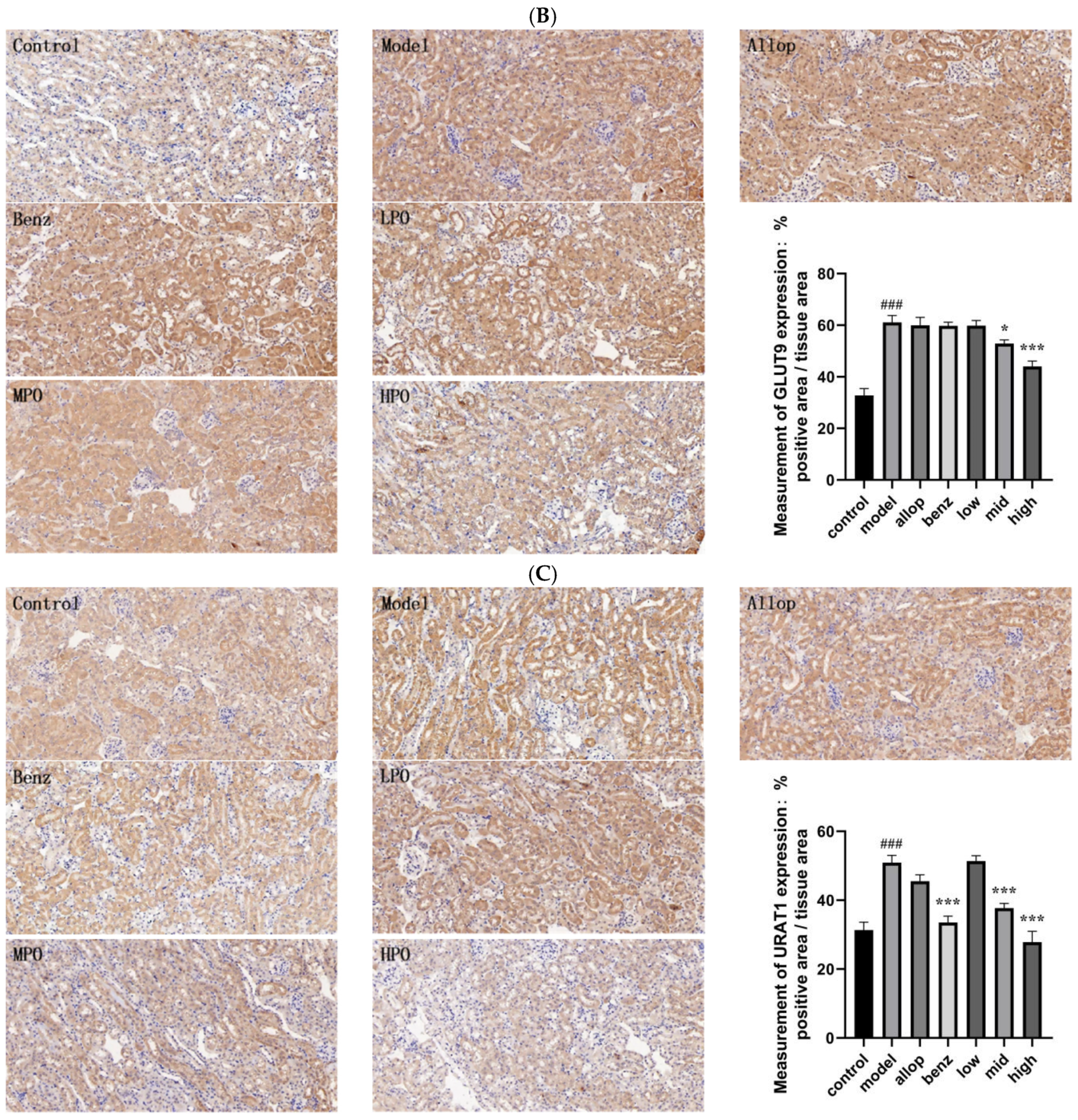 Nutrients 16 03549 g009b