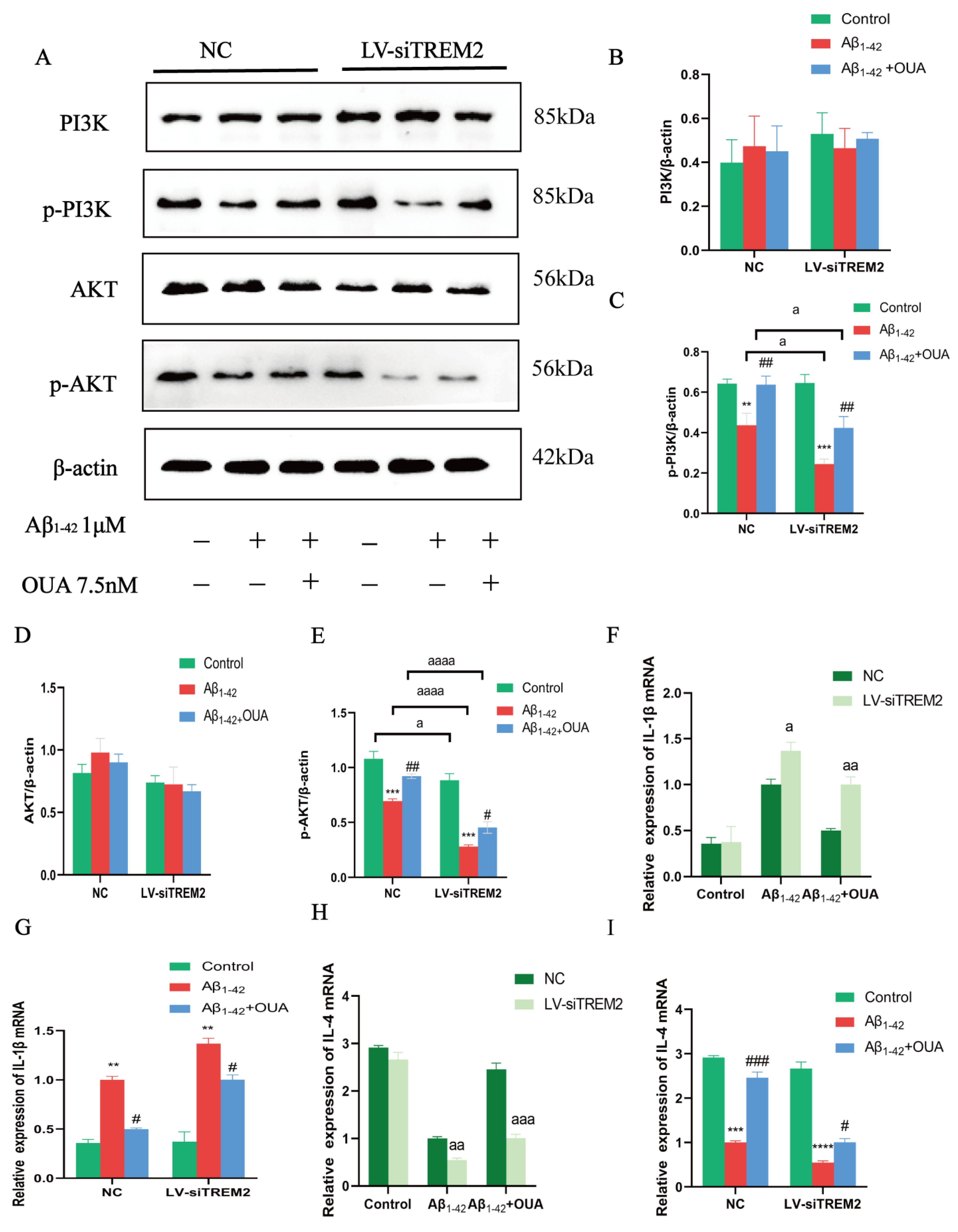 Nutrients 16 03558 g005 Nutrients 16 03558 g005