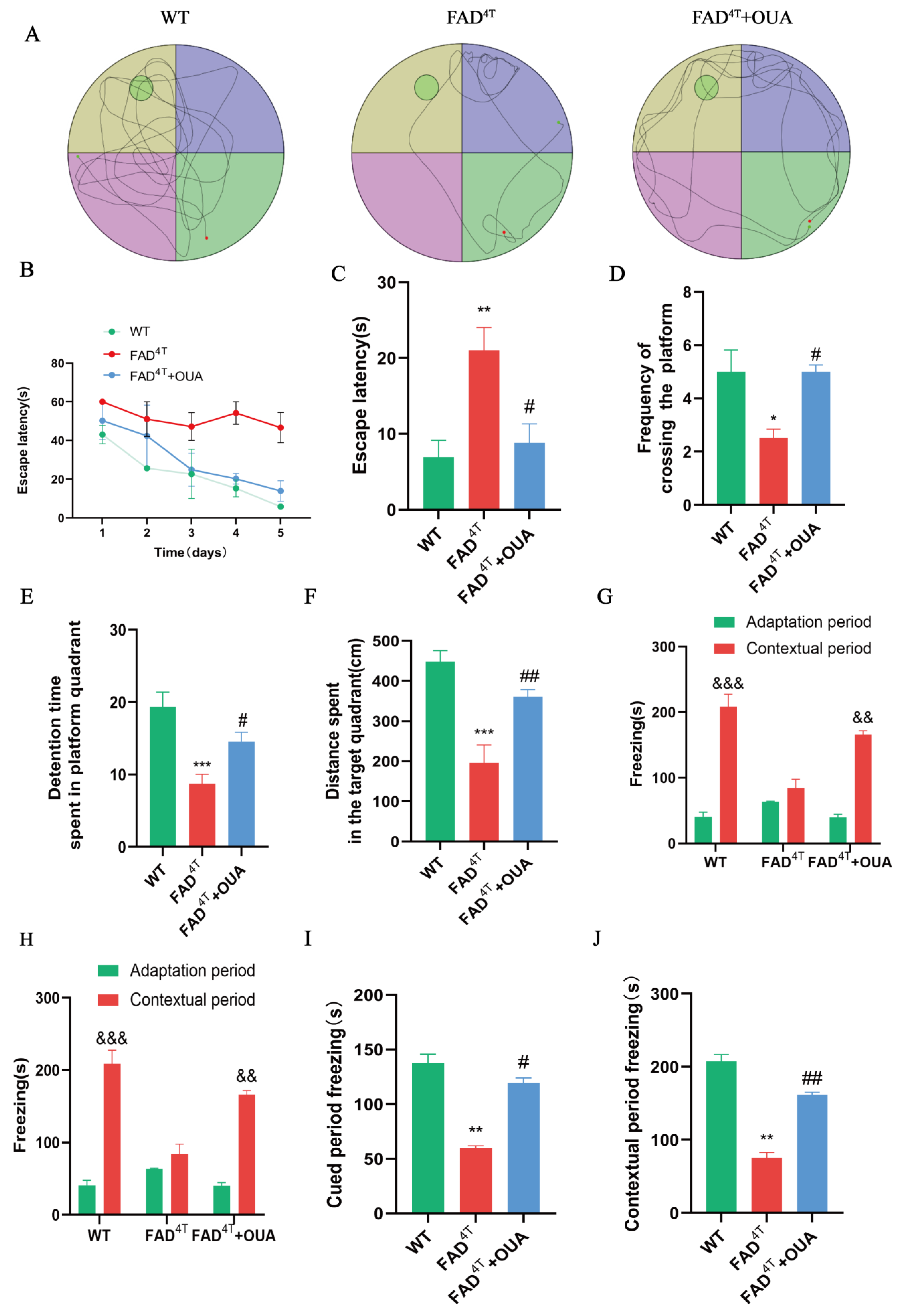 Nutrients 16 03558 g006 Nutrients 16 03558 g006