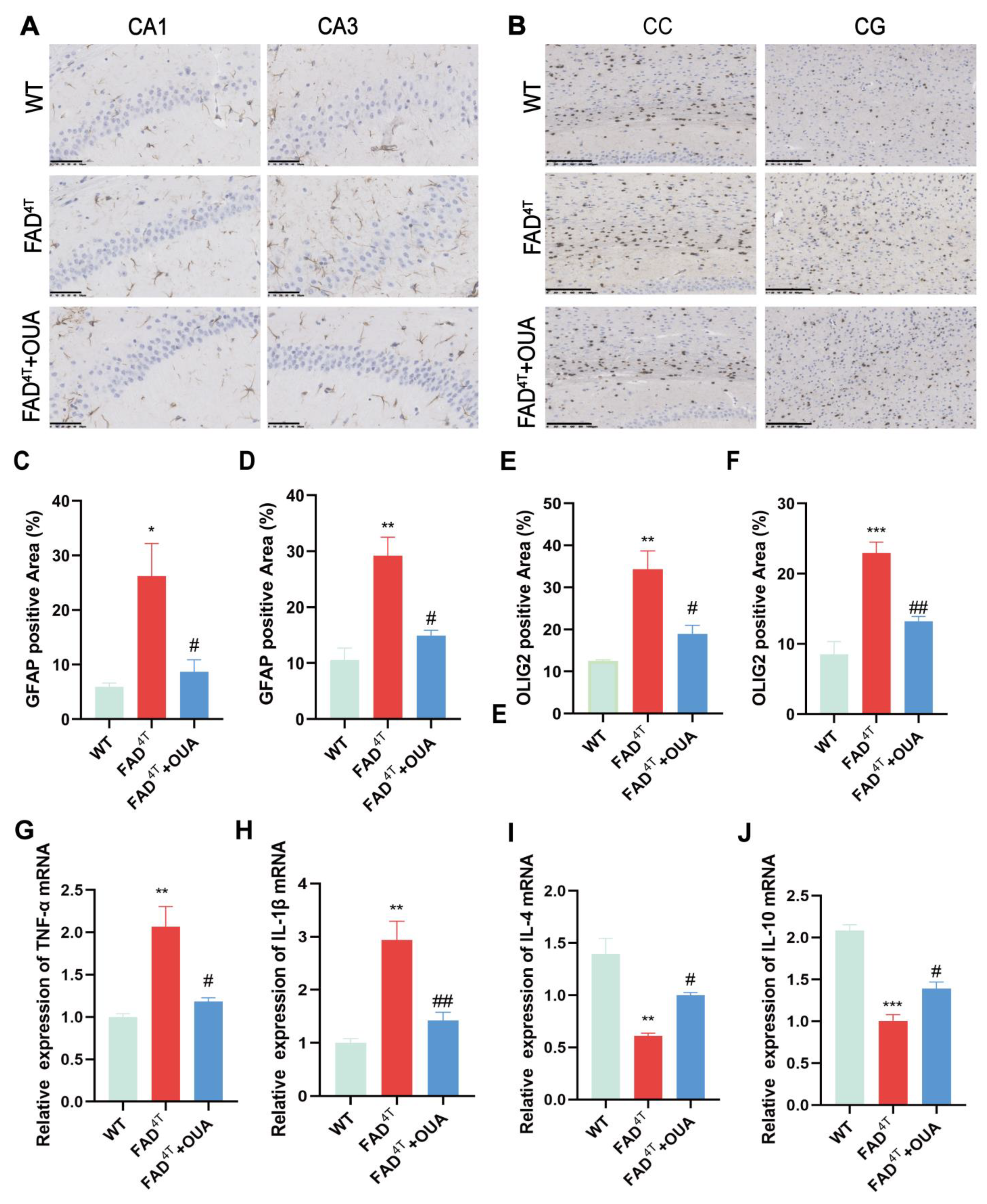 Nutrients 16 03558 g008 Nutrients 16 03558 g008