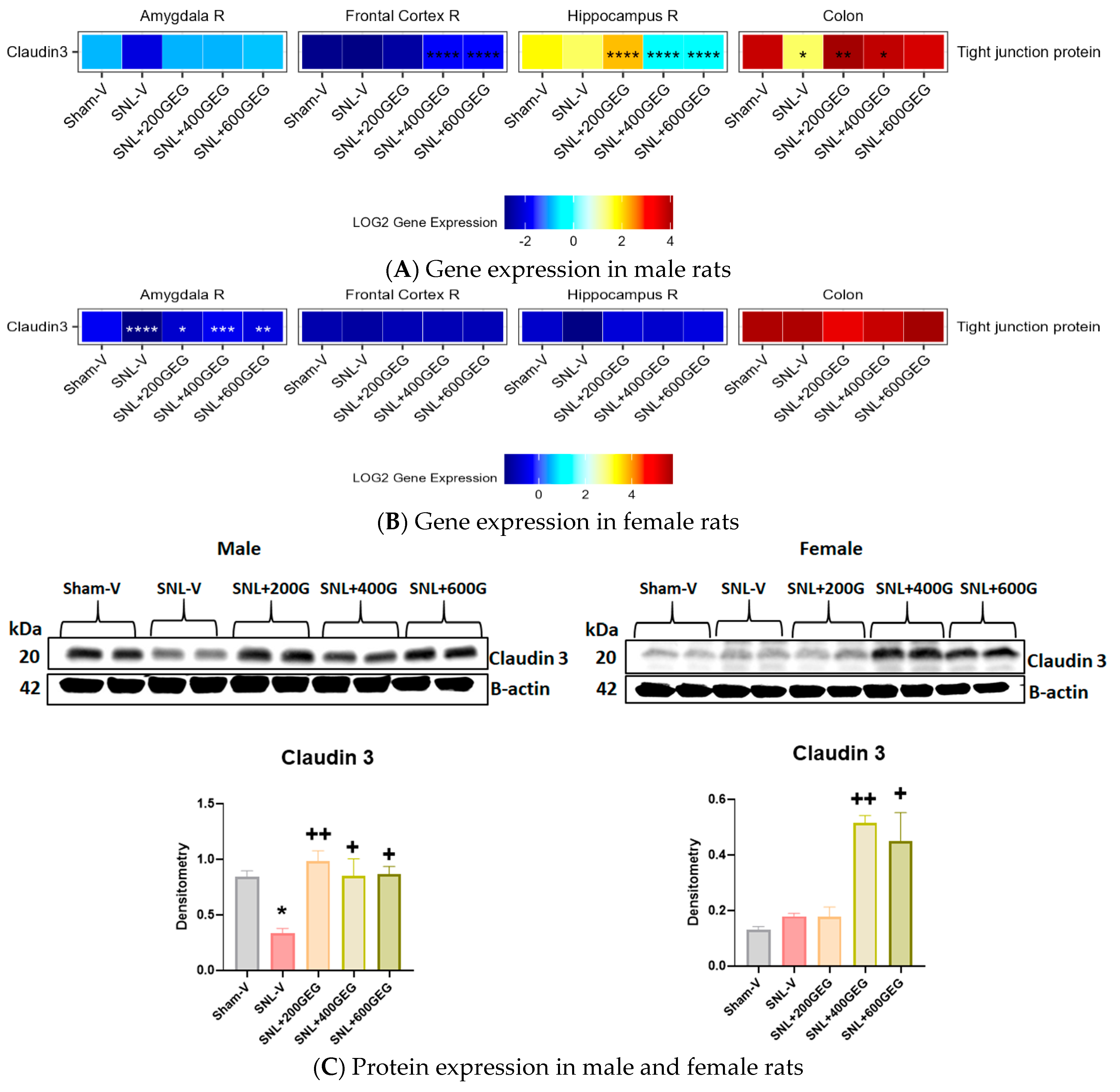 Nutrients 16 03563 g004