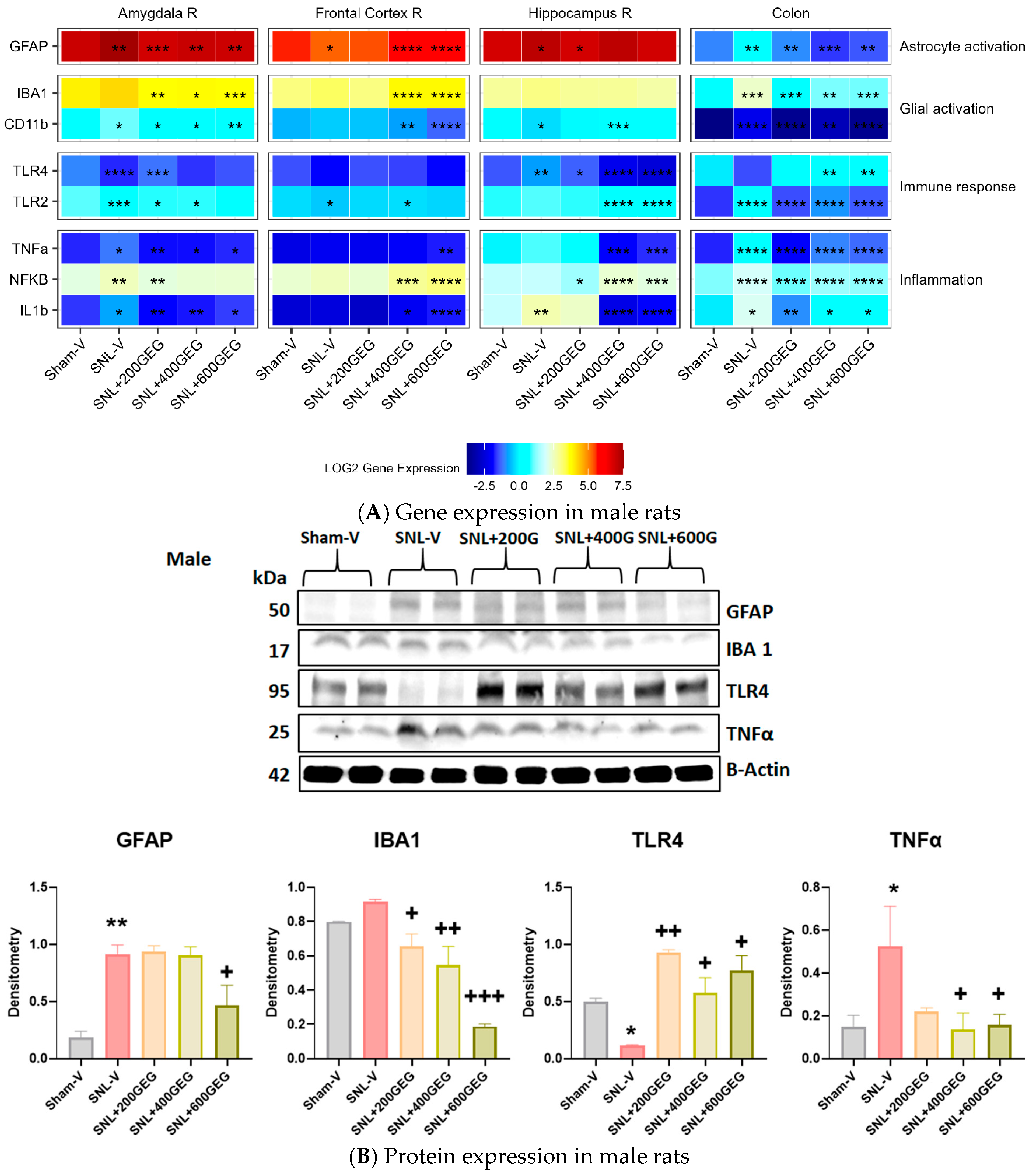 Nutrients 16 03563 g005