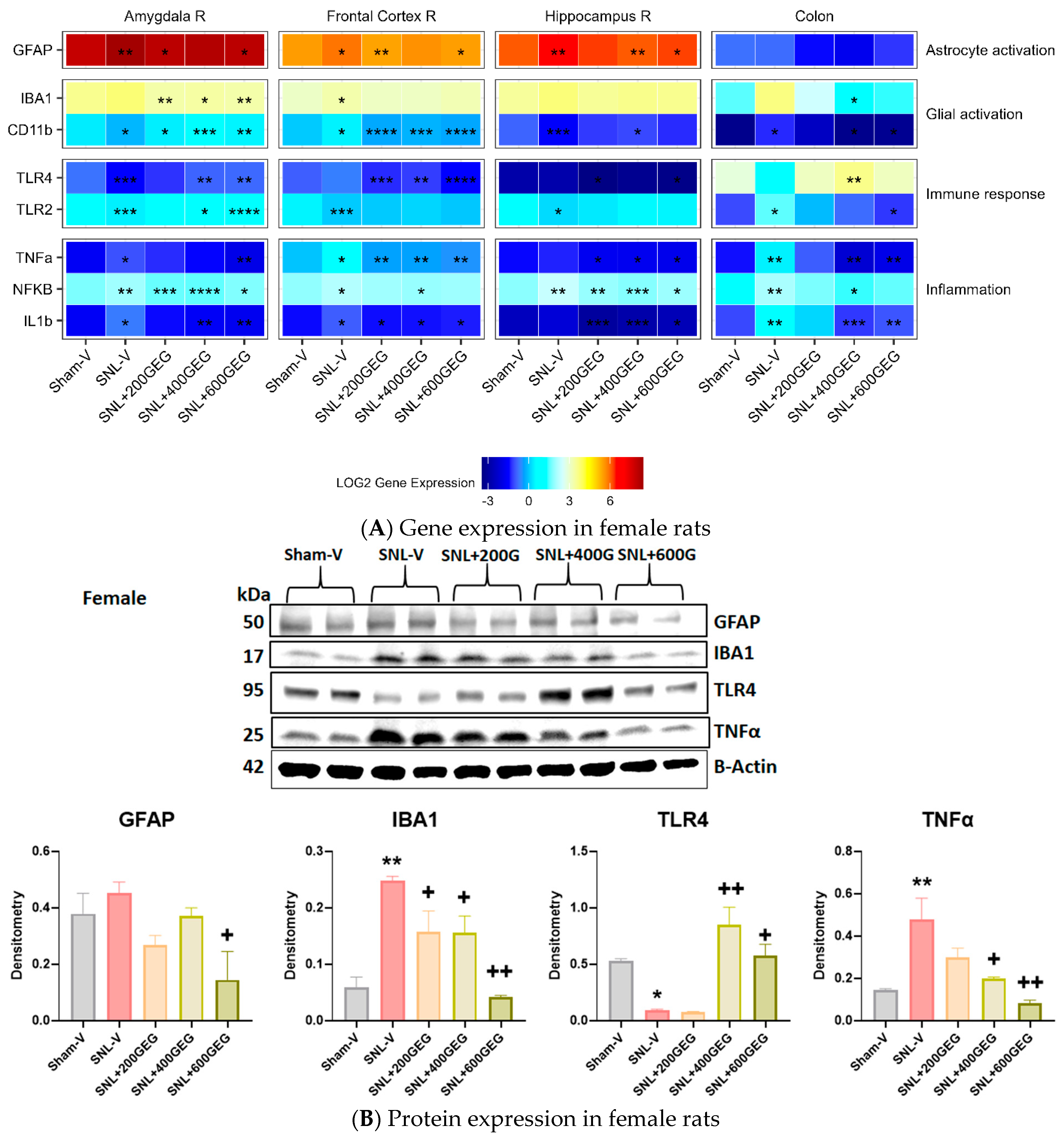 Nutrients 16 03563 g006
