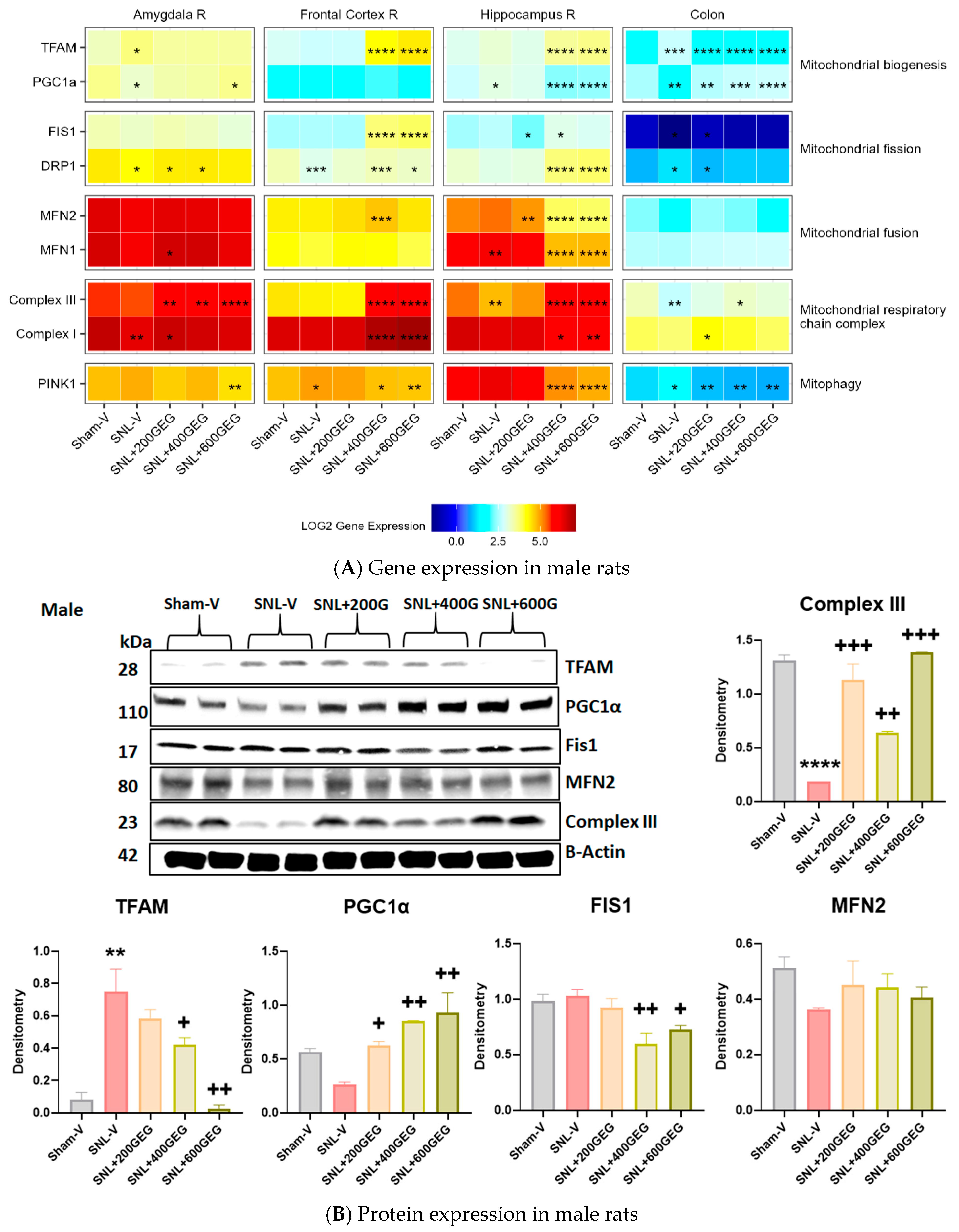 Nutrients 16 03563 g007
