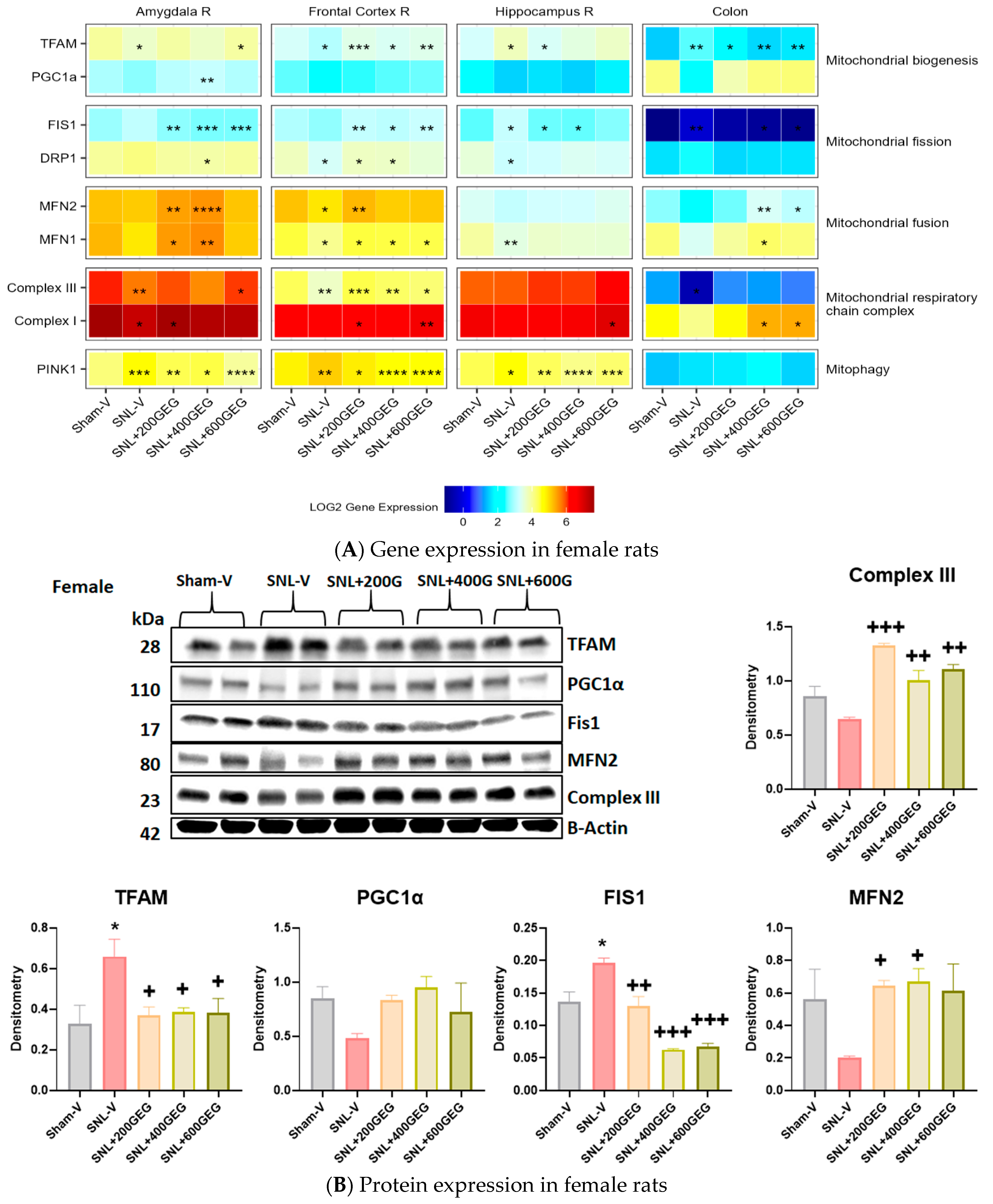 Nutrients 16 03563 g008