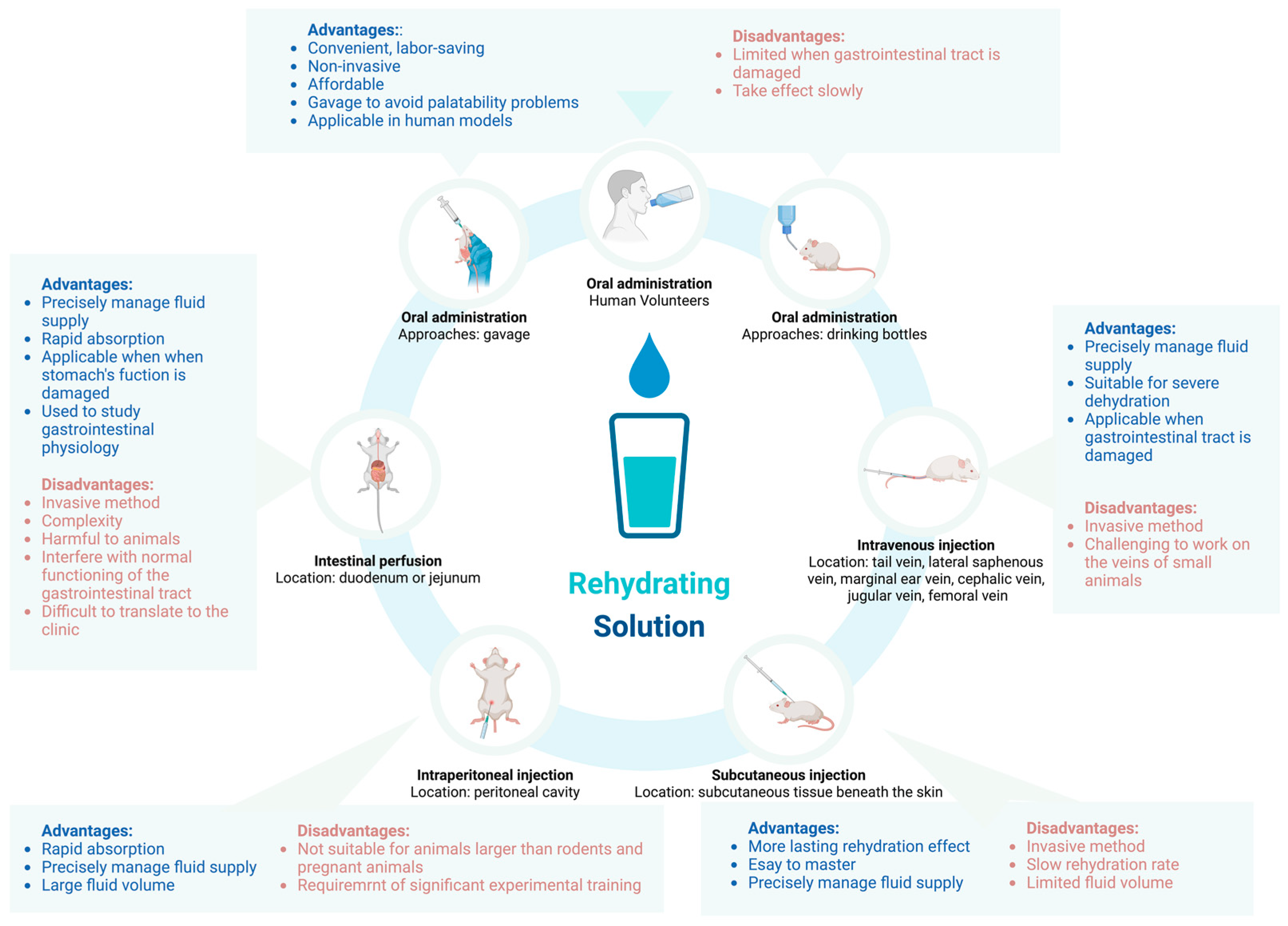 Nutrients 16 03566 g002 Nutrients 16 03566 g002