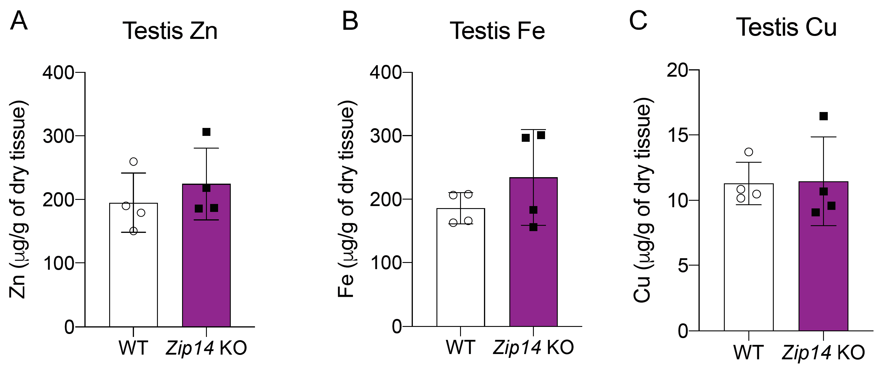 Nutrients 16 03575 g004