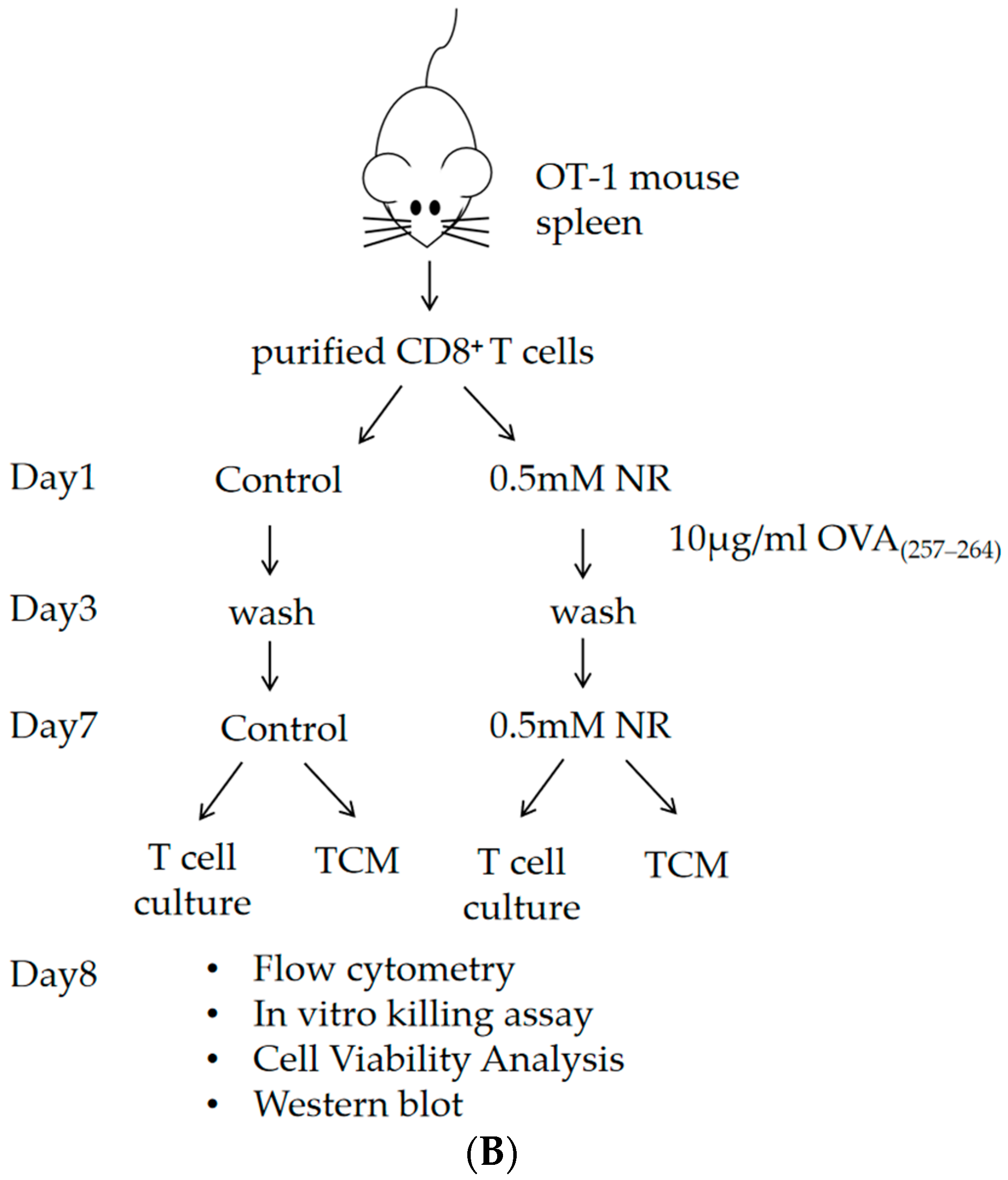 Nutrients 16 03577 g001b