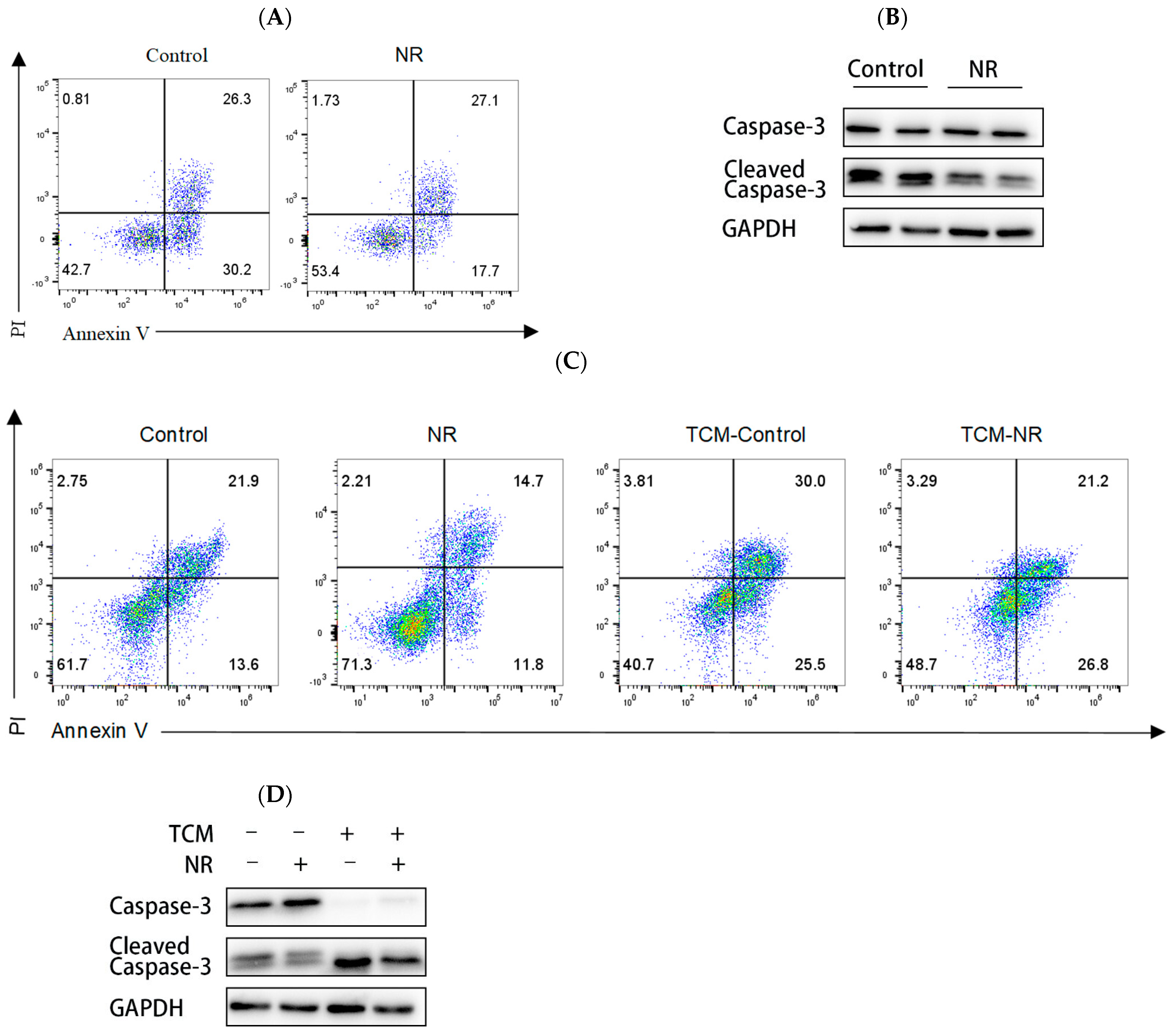 Nutrients 16 03577 g004