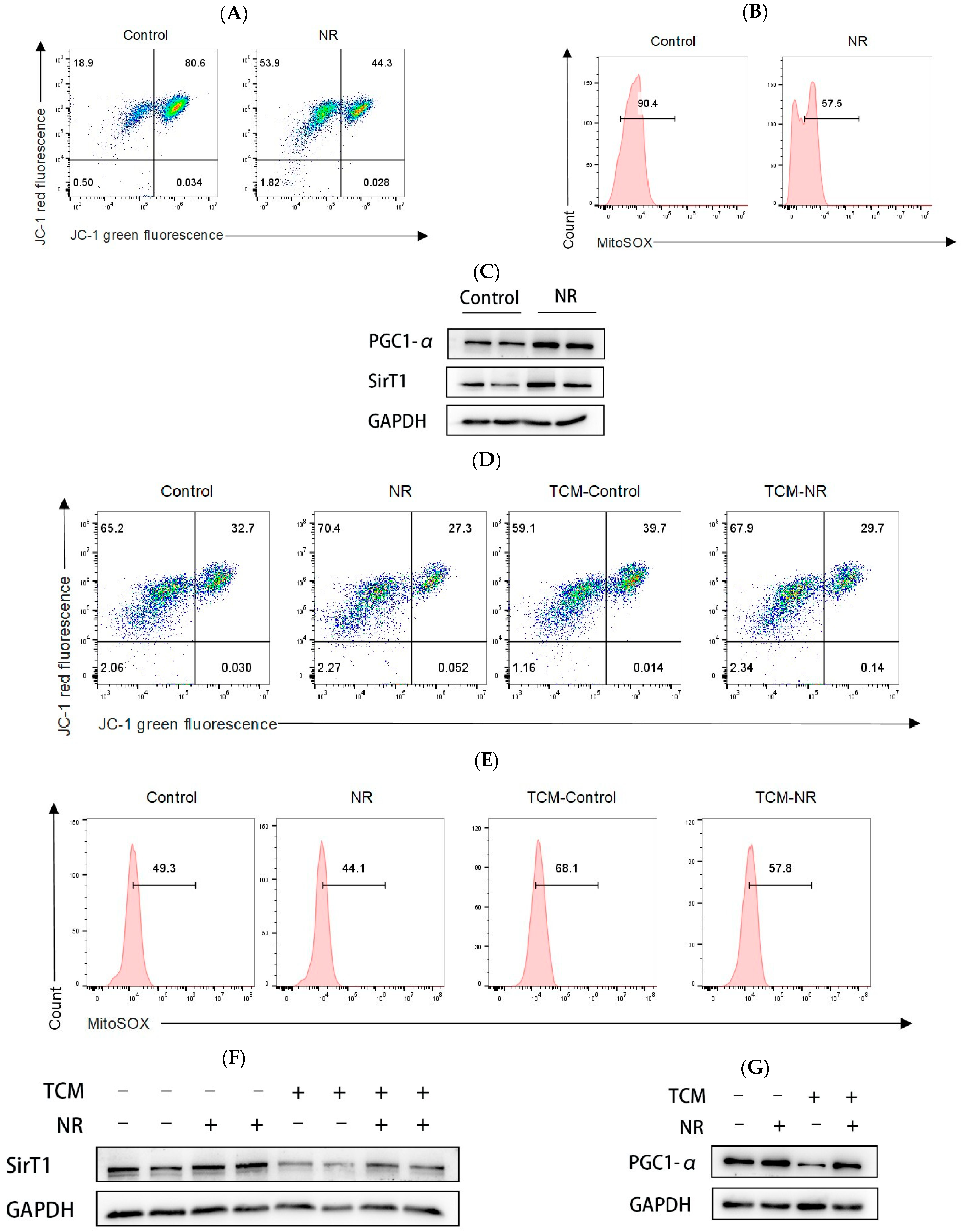 Nutrients 16 03577 g005