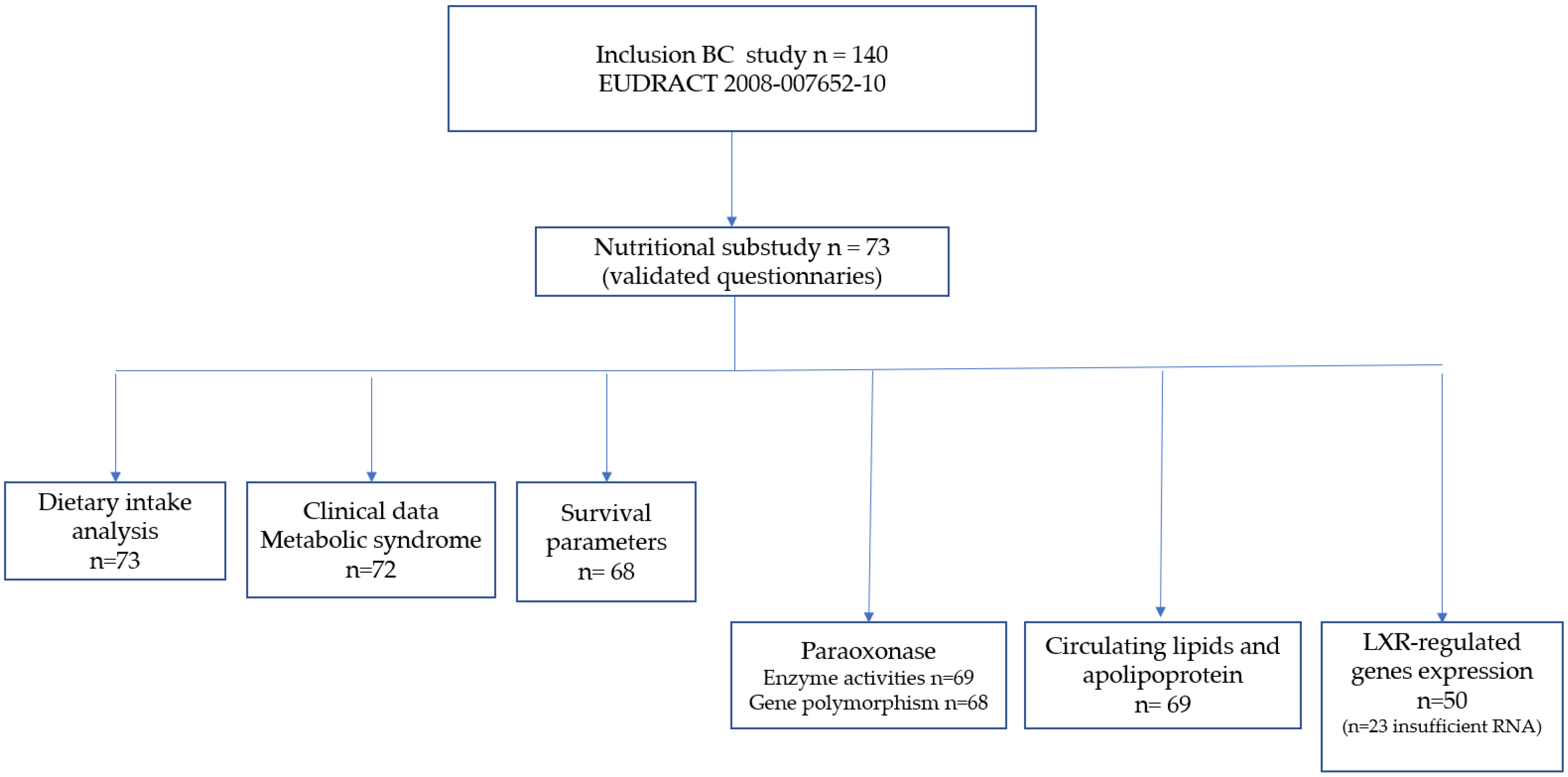 Nutrients 16 03579 g001