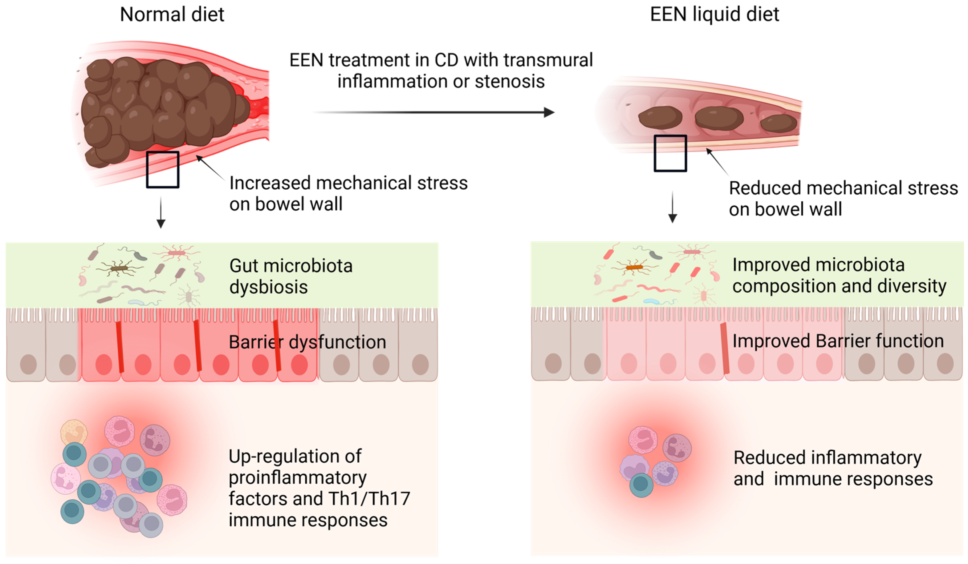 Nutrients 16 03581 g001