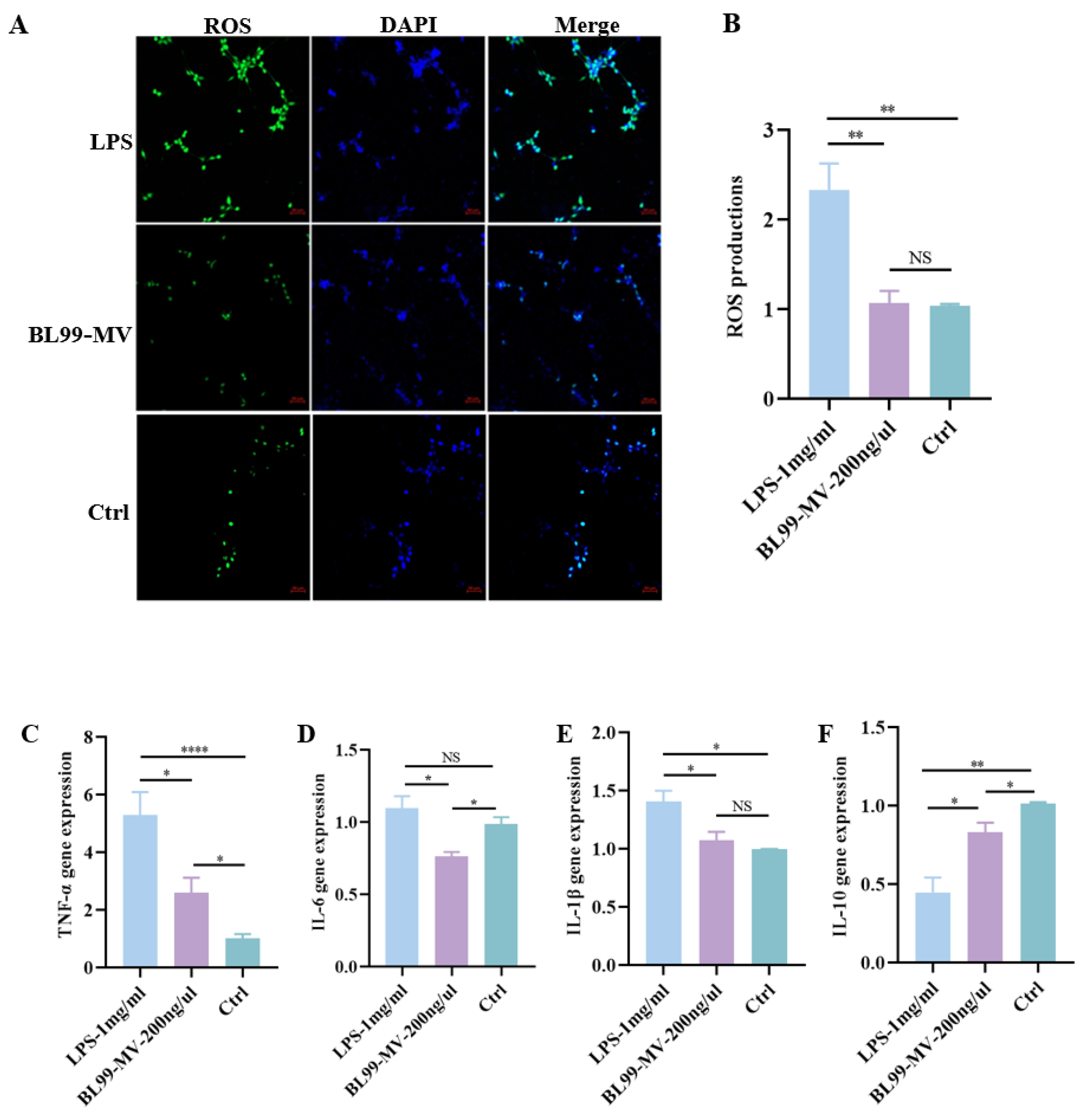 Nutrients 16 03586 g005