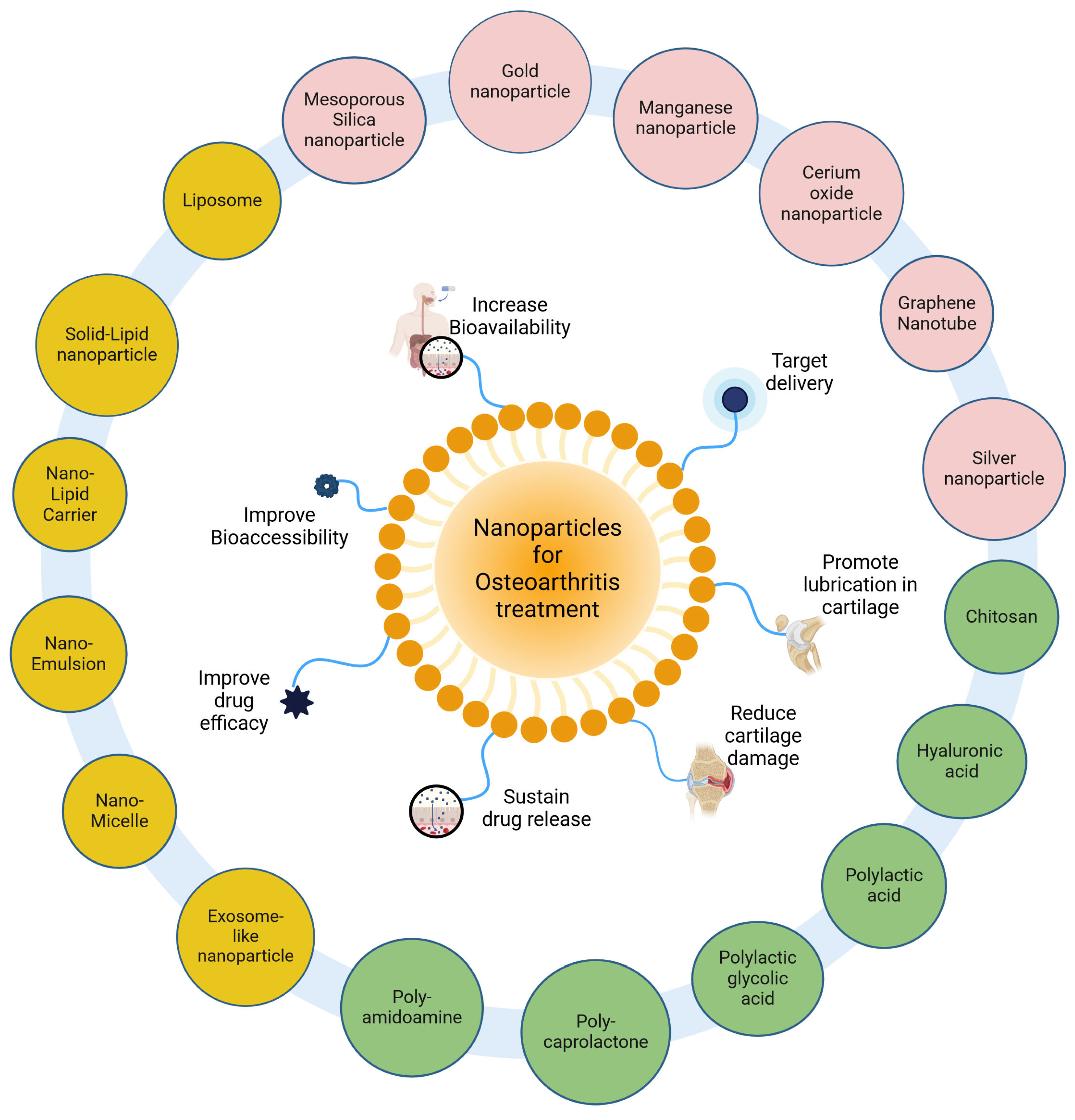 Nutrients 16 03587 g001 Nutrients 16 03587 g001