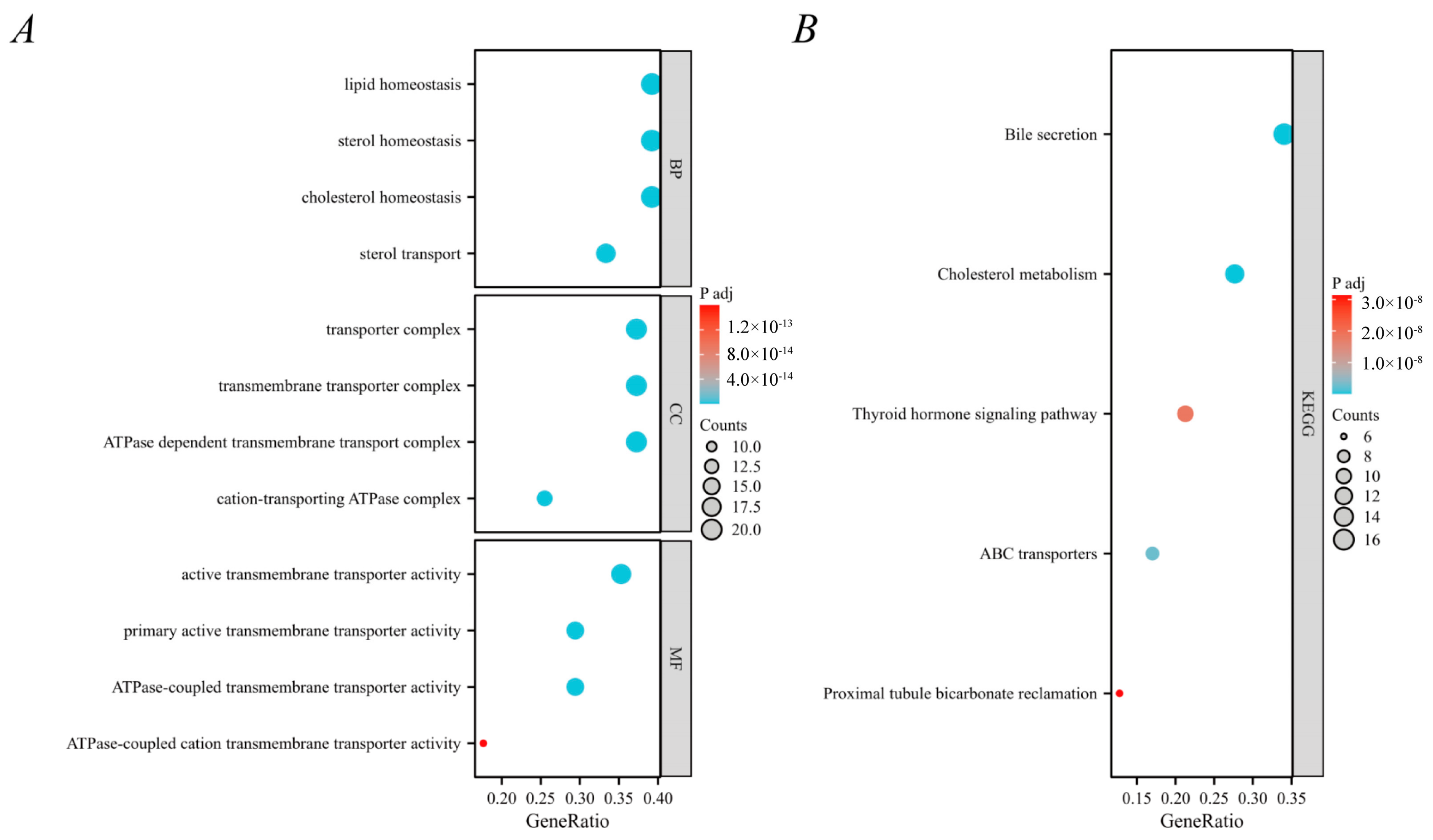 Nutrients 16 03588 g004
