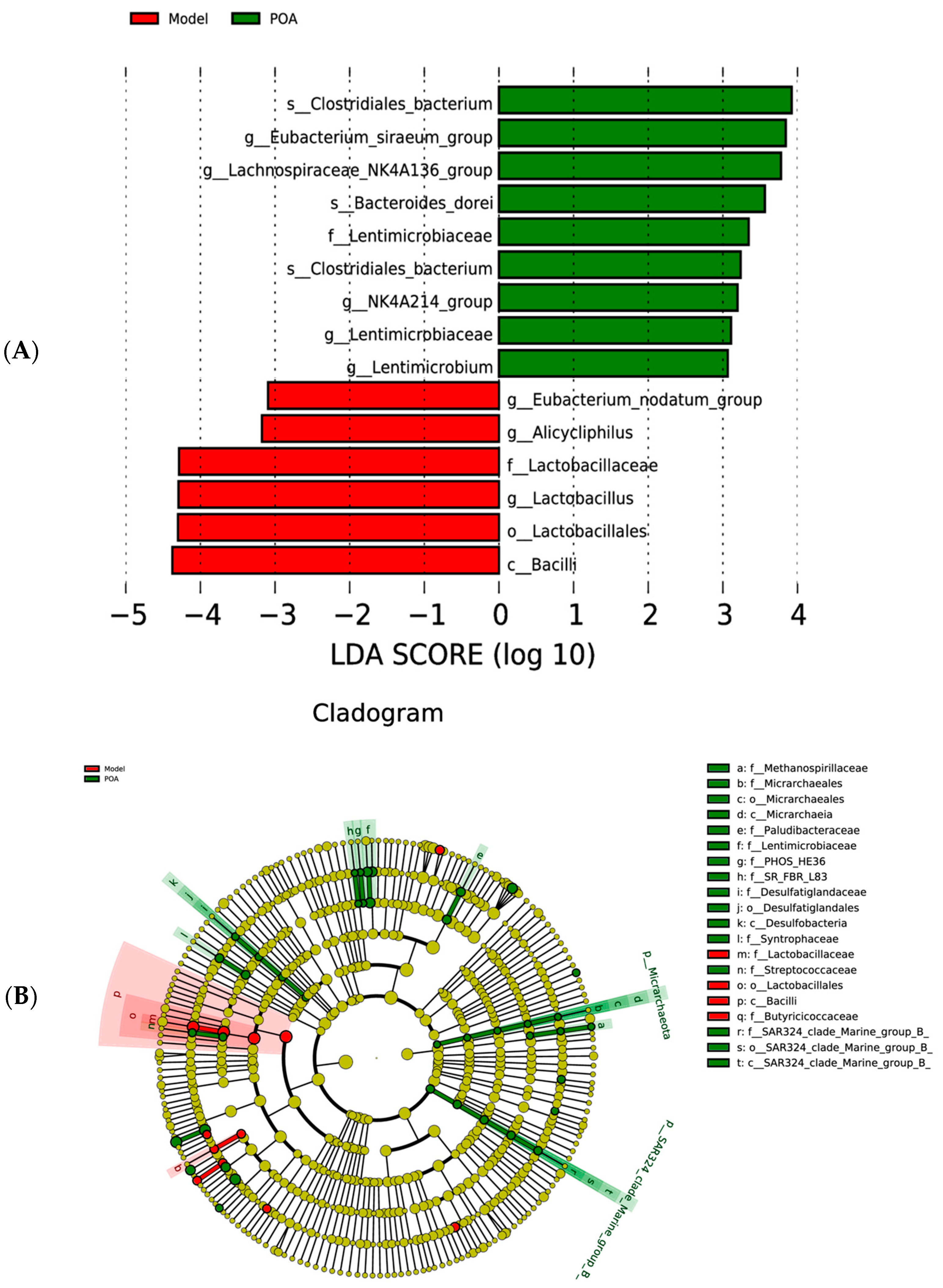 Nutrients 16 03599 g006