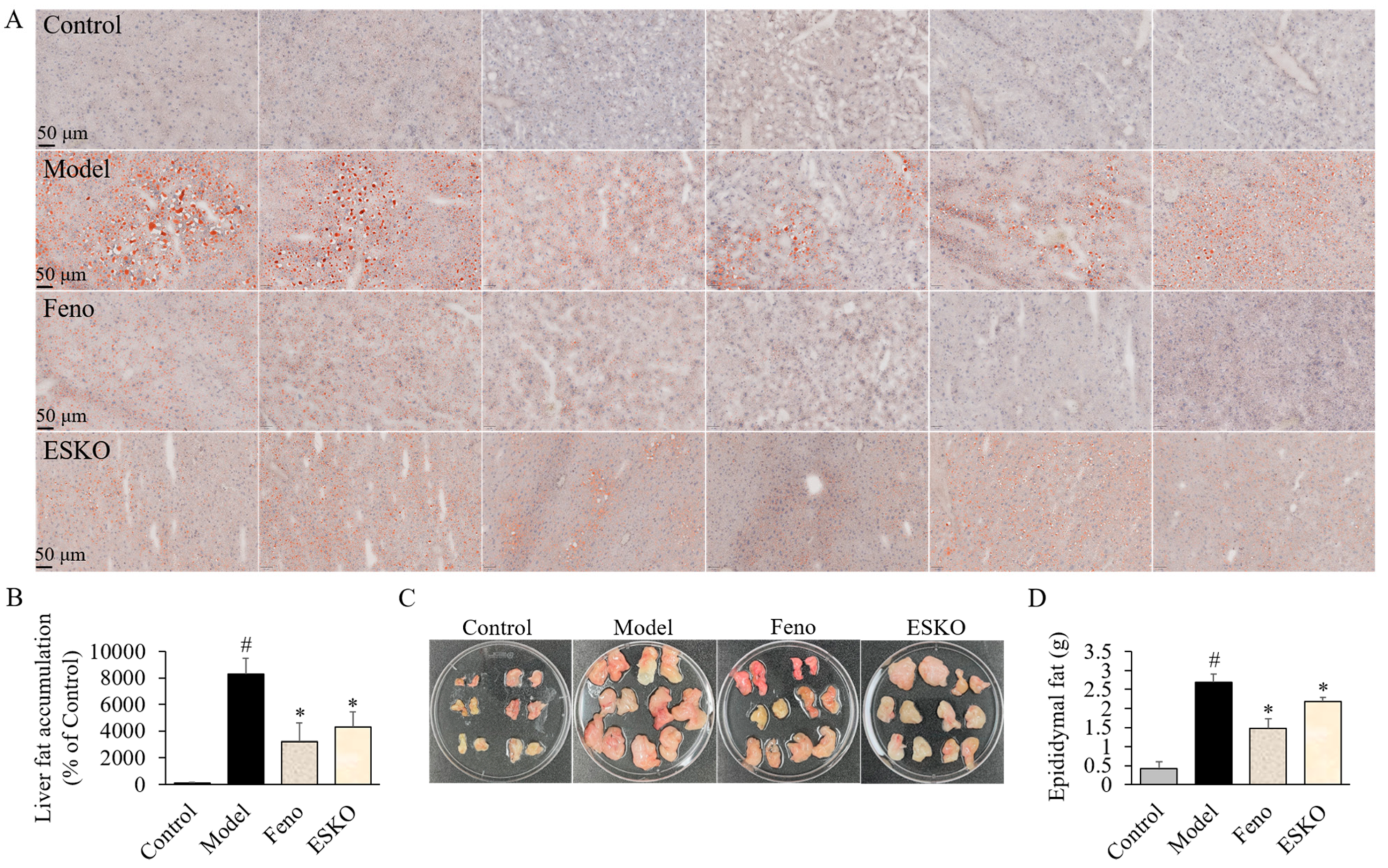 Nutrients 16 03614 g004