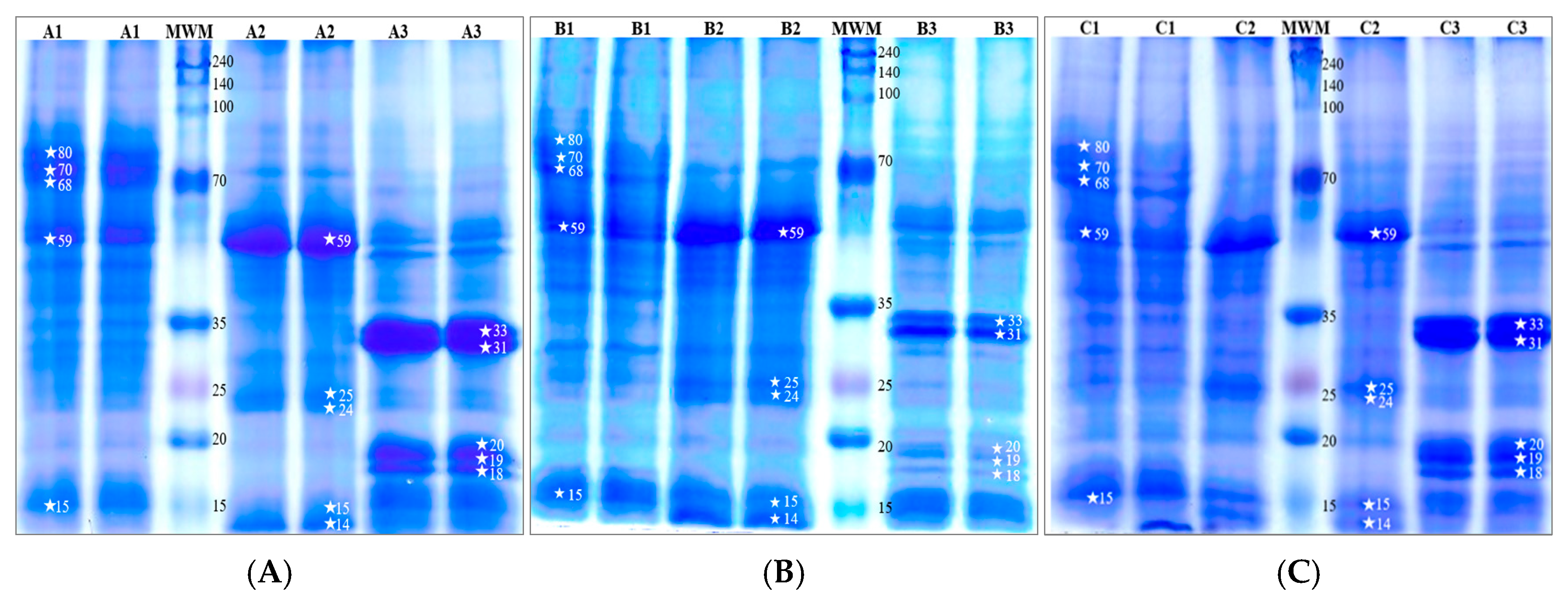 Nutrients 16 03626 g001 Nutrients 16 03626 g001