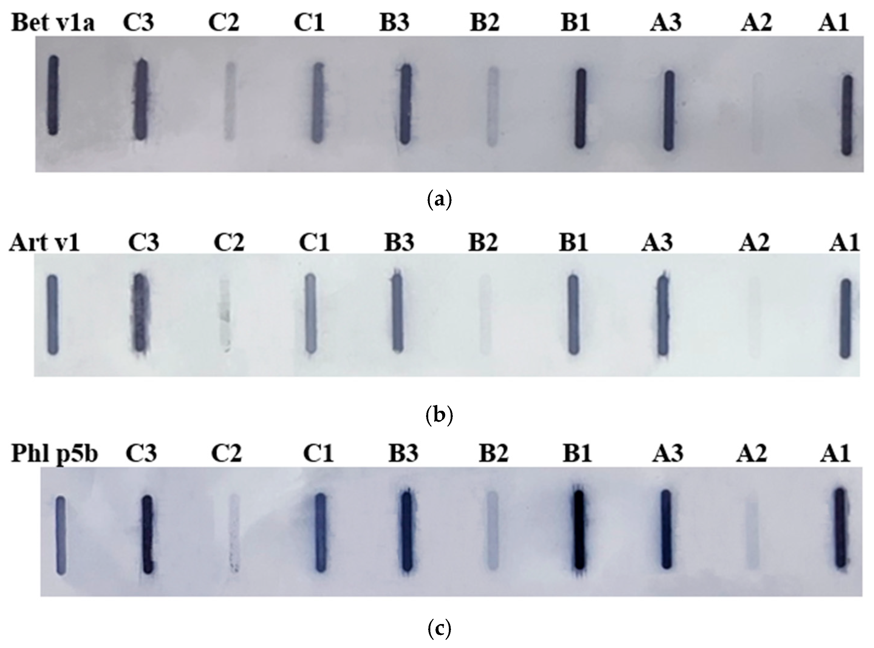 Nutrients 16 03626 g002 Nutrients 16 03626 g002