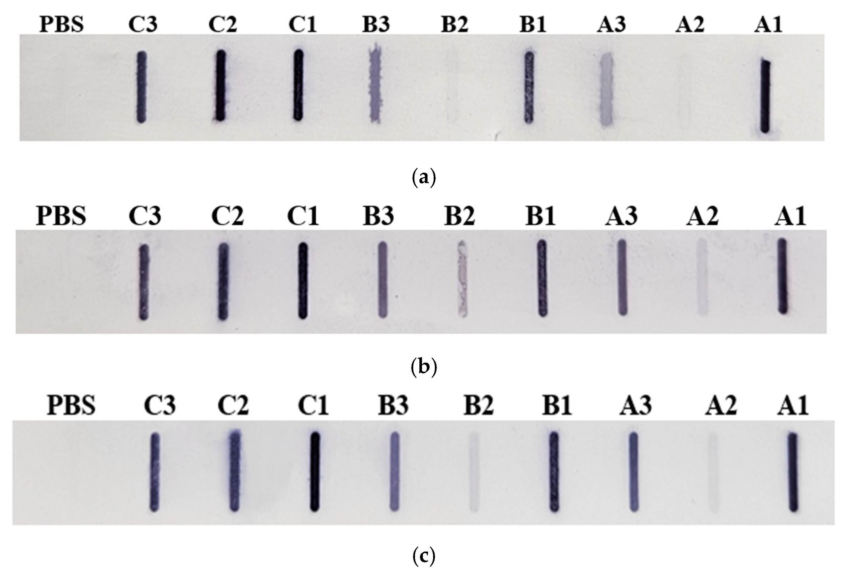 Nutrients 16 03626 g003 Nutrients 16 03626 g003