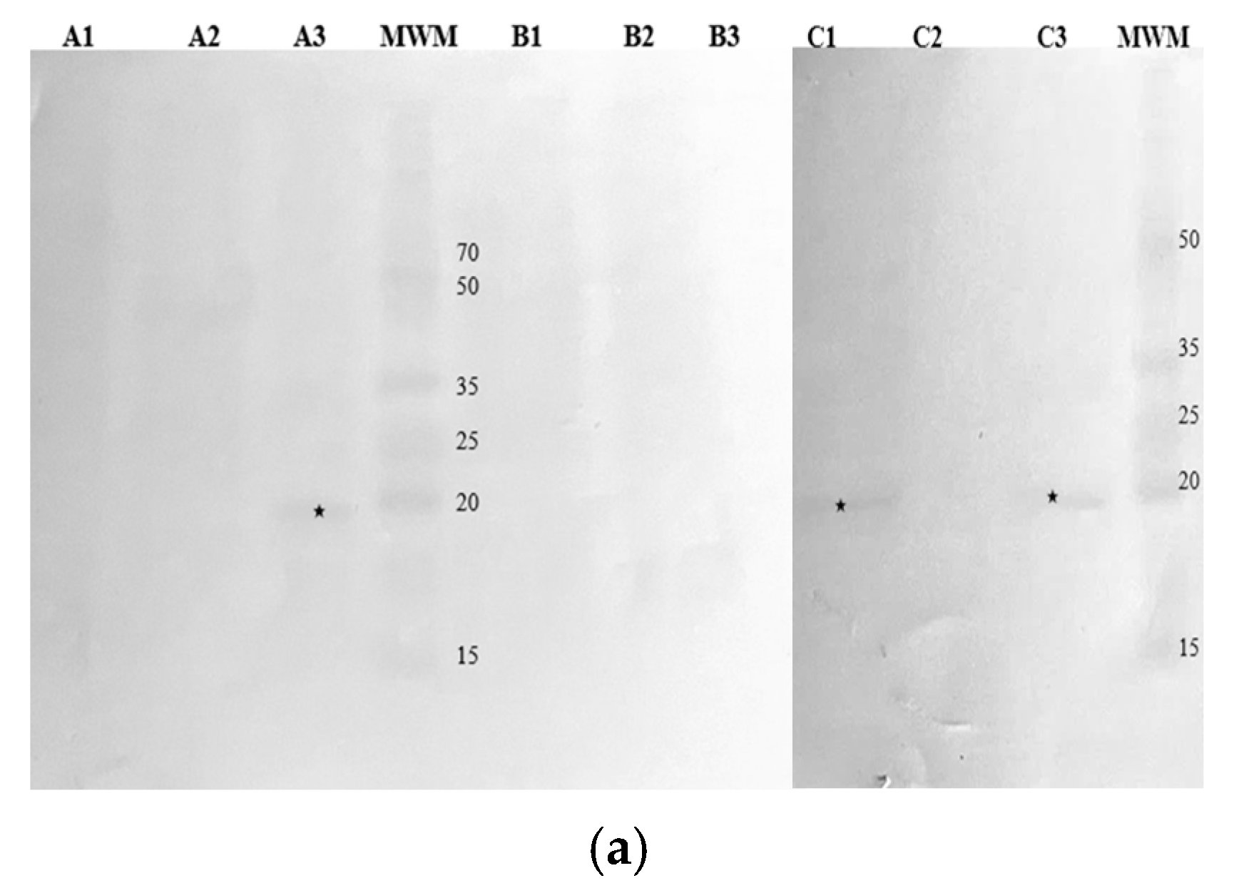 Nutrients 16 03626 g004a Nutrients 16 03626 g004a
