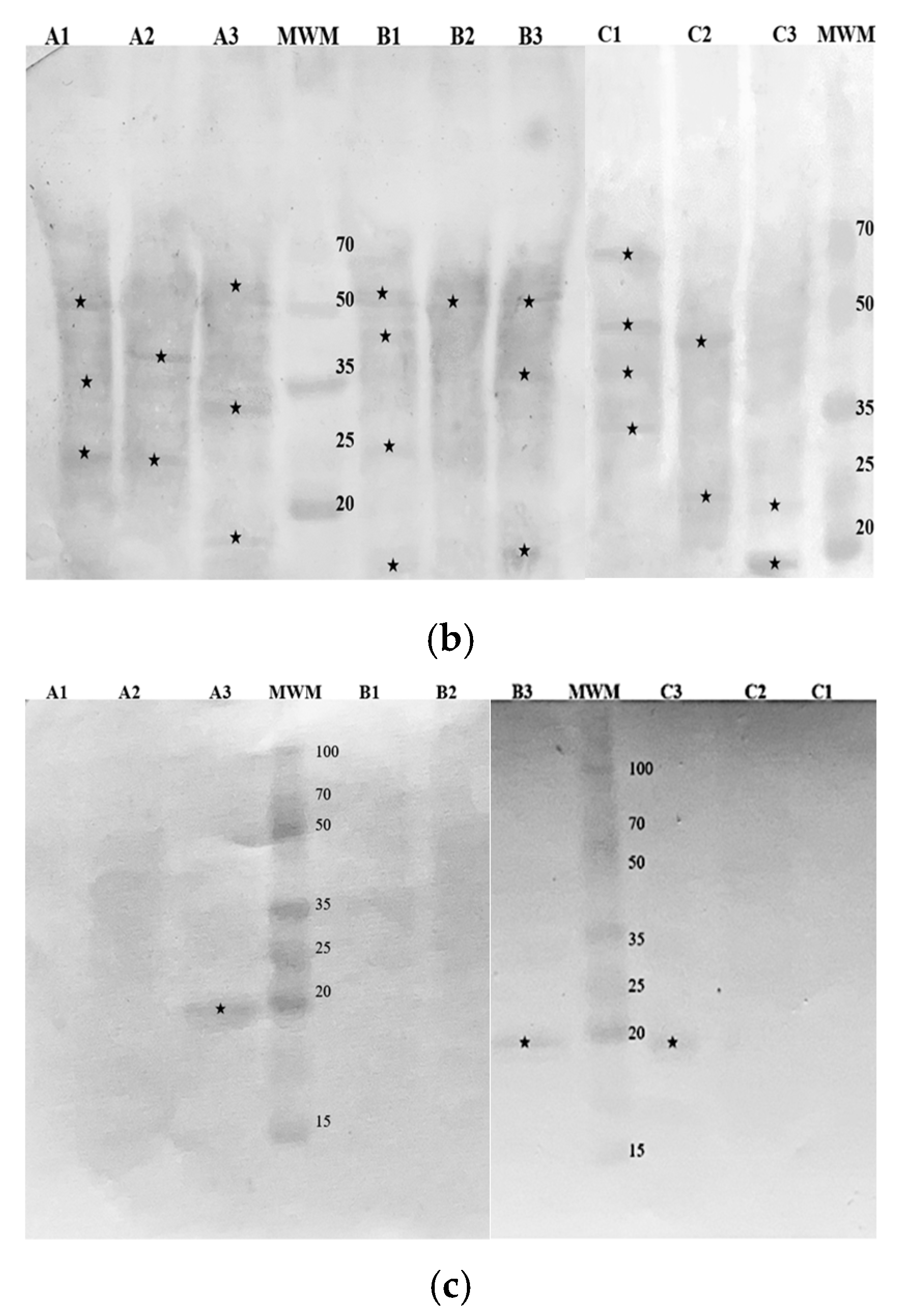 Nutrients 16 03626 g004b Nutrients 16 03626 g004b