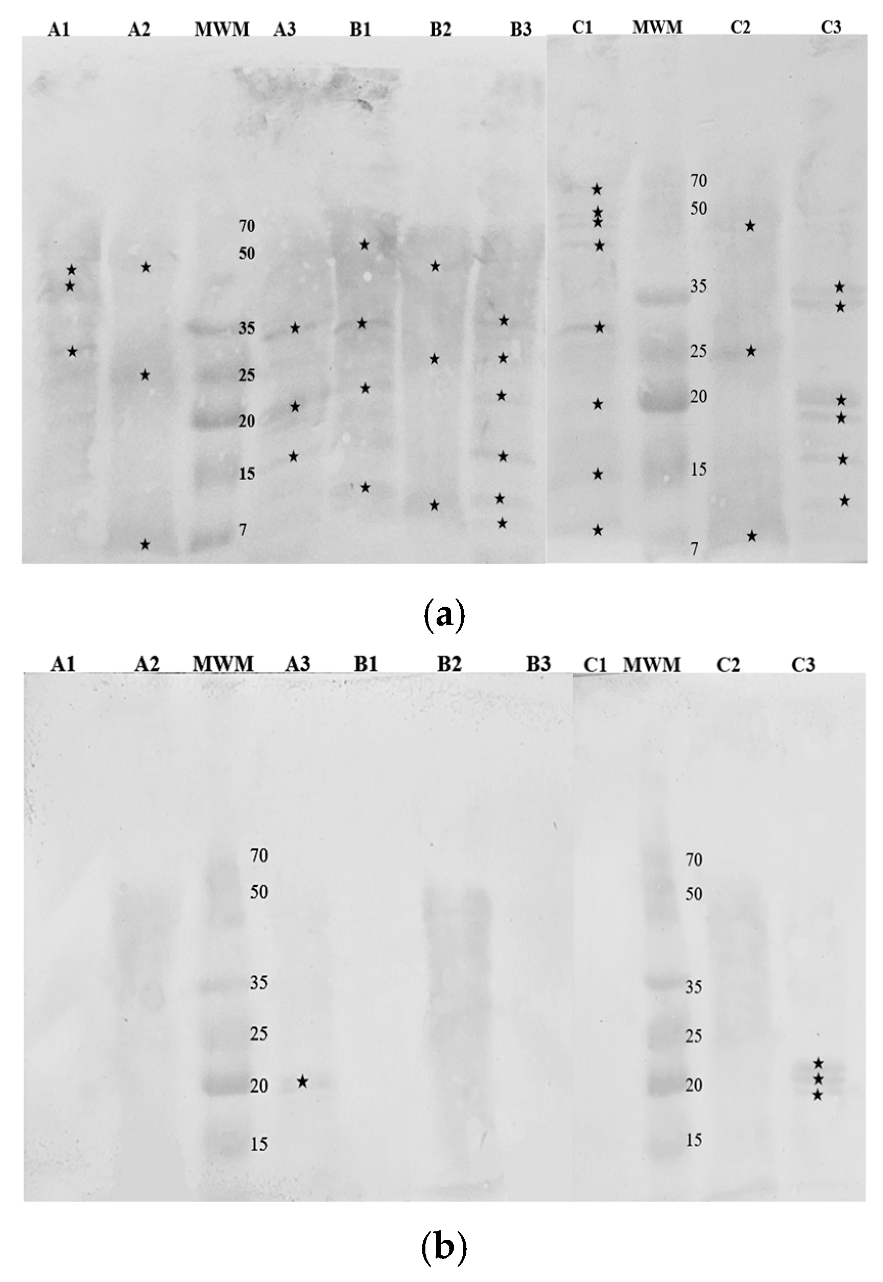 Nutrients 16 03626 g005a Nutrients 16 03626 g005a