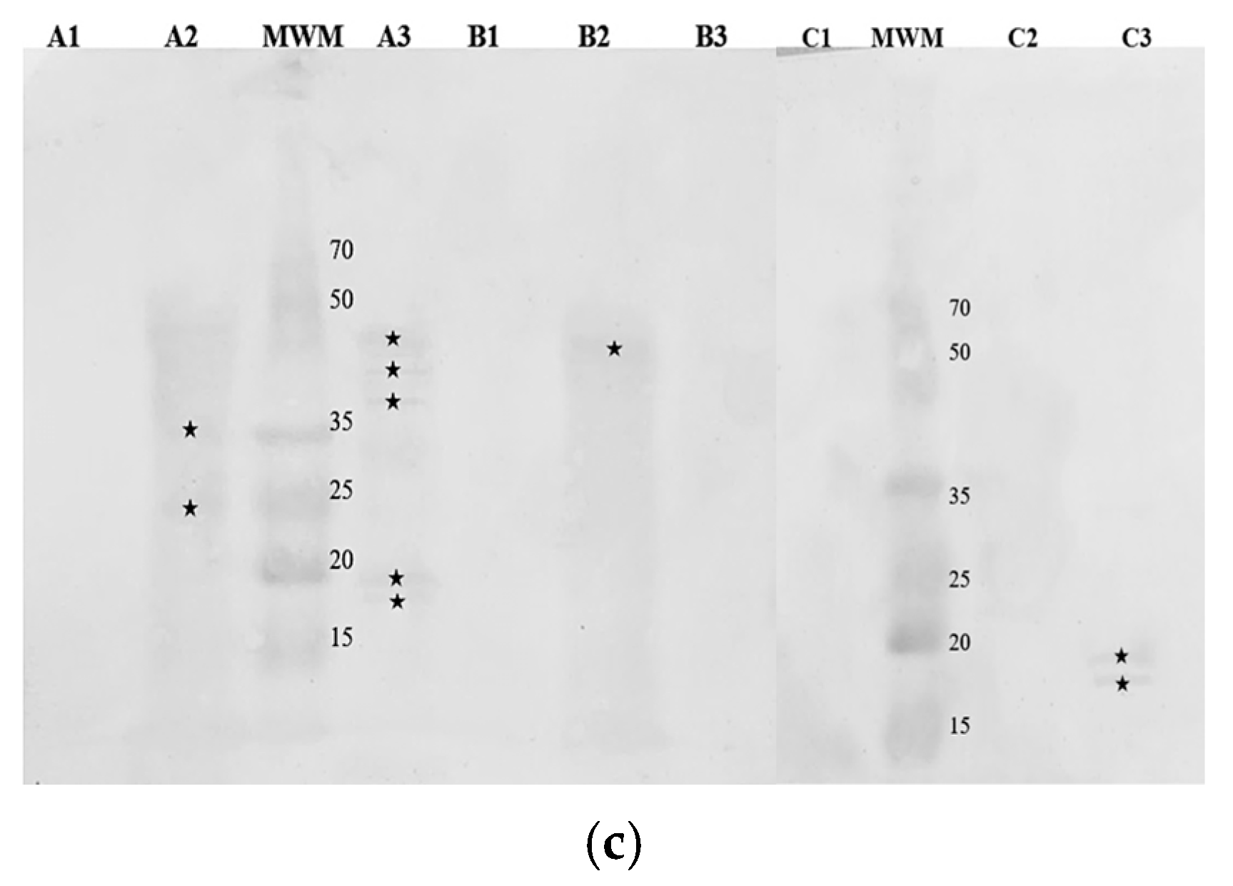 Nutrients 16 03626 g005b Nutrients 16 03626 g005b
