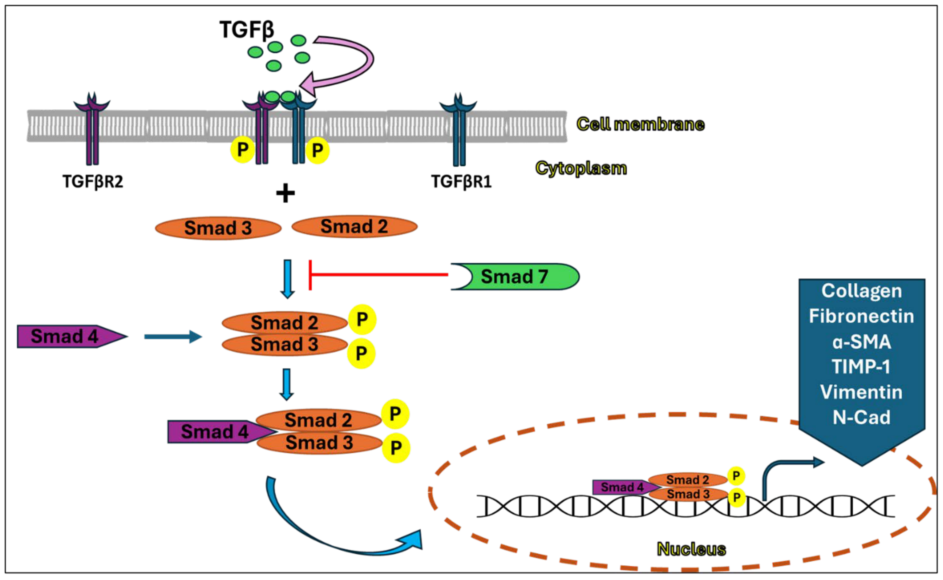 Nutrients 16 03633 g001