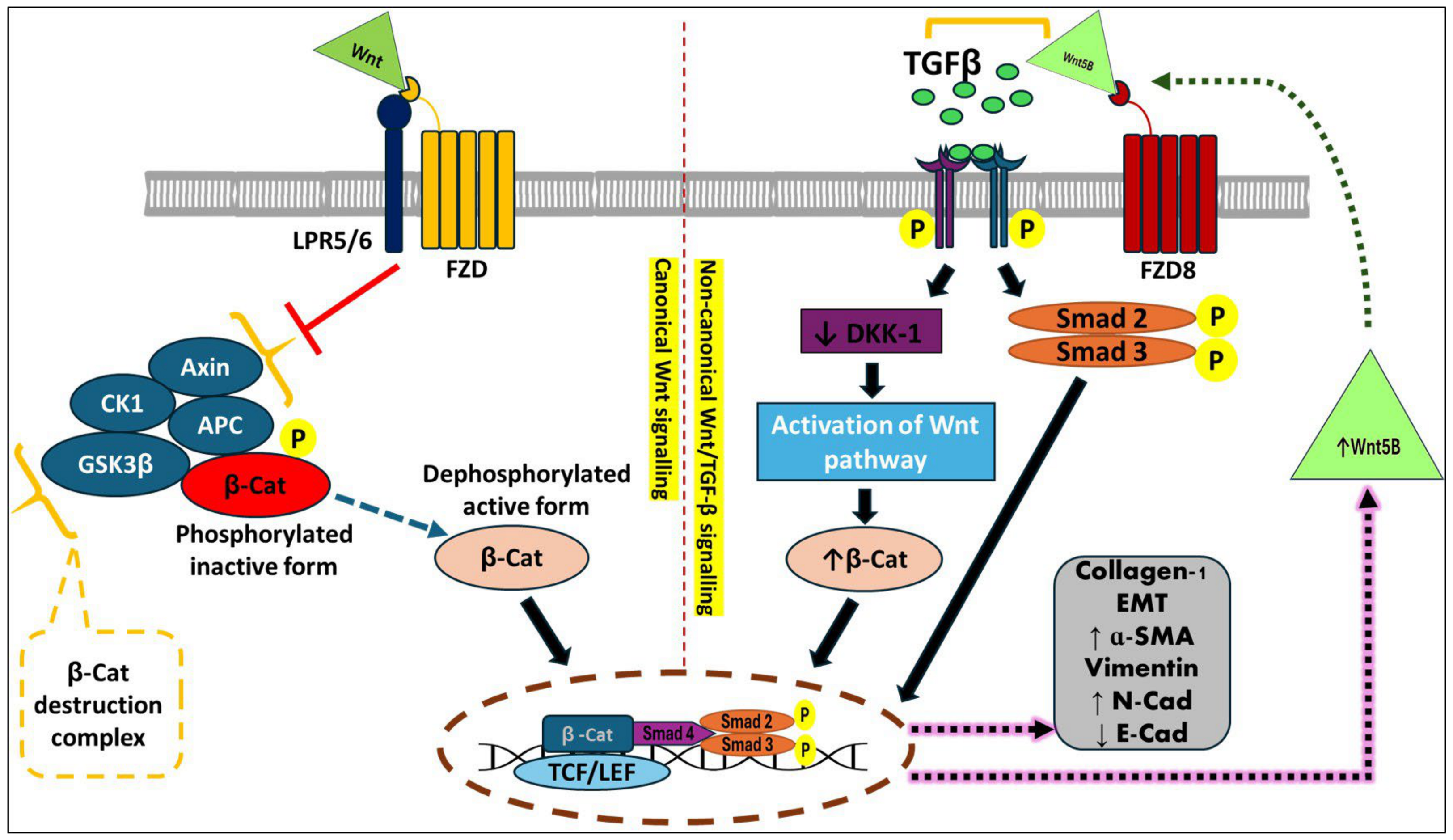 Nutrients 16 03633 g003