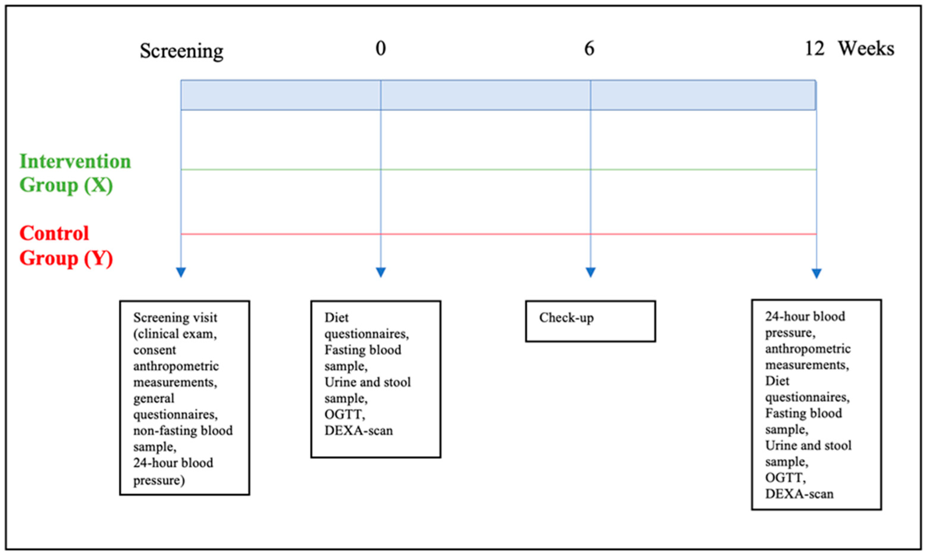 Nutrients 16 03641 g001