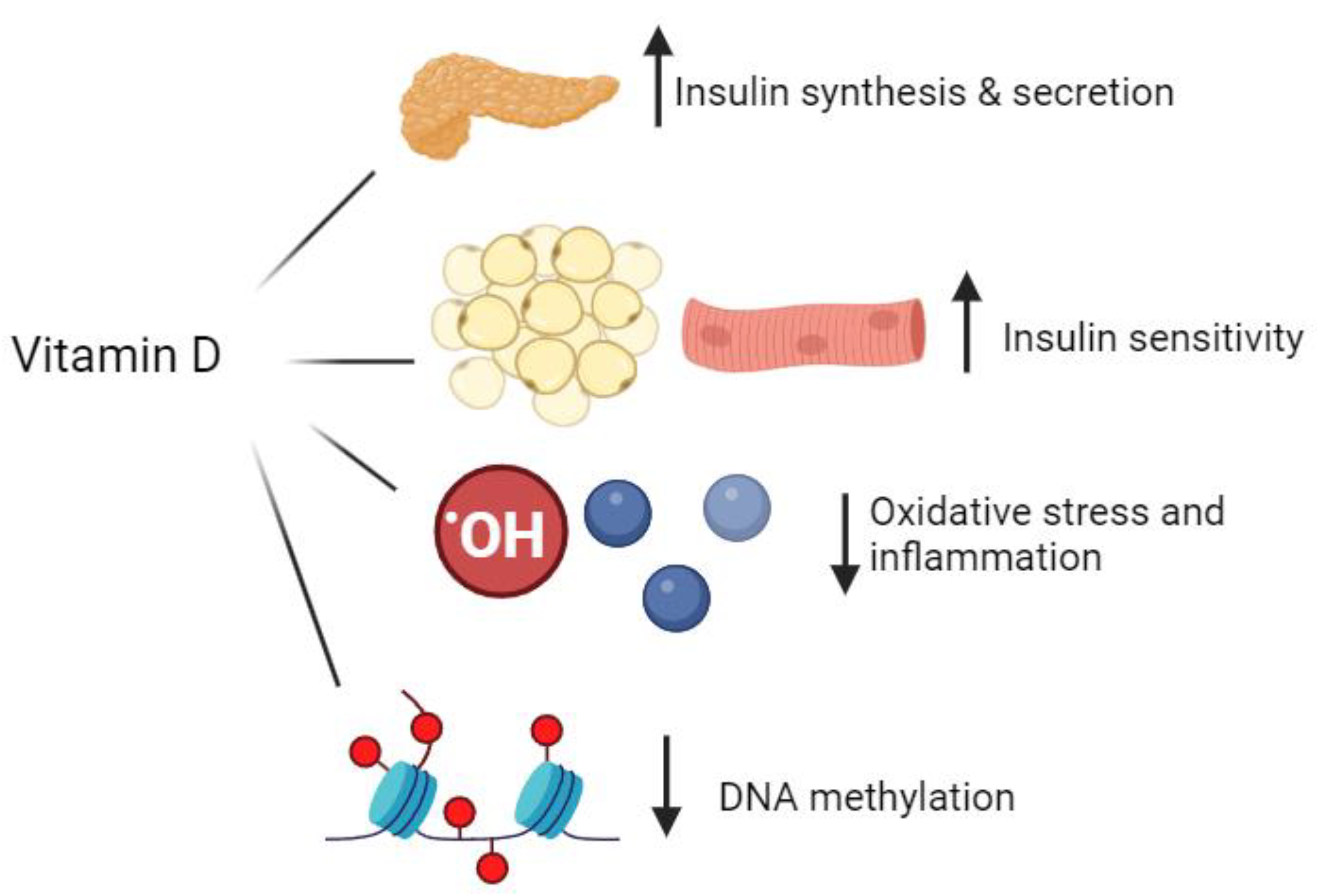 Nutrients 16 03651 g001 Nutrients 16 03651 g001