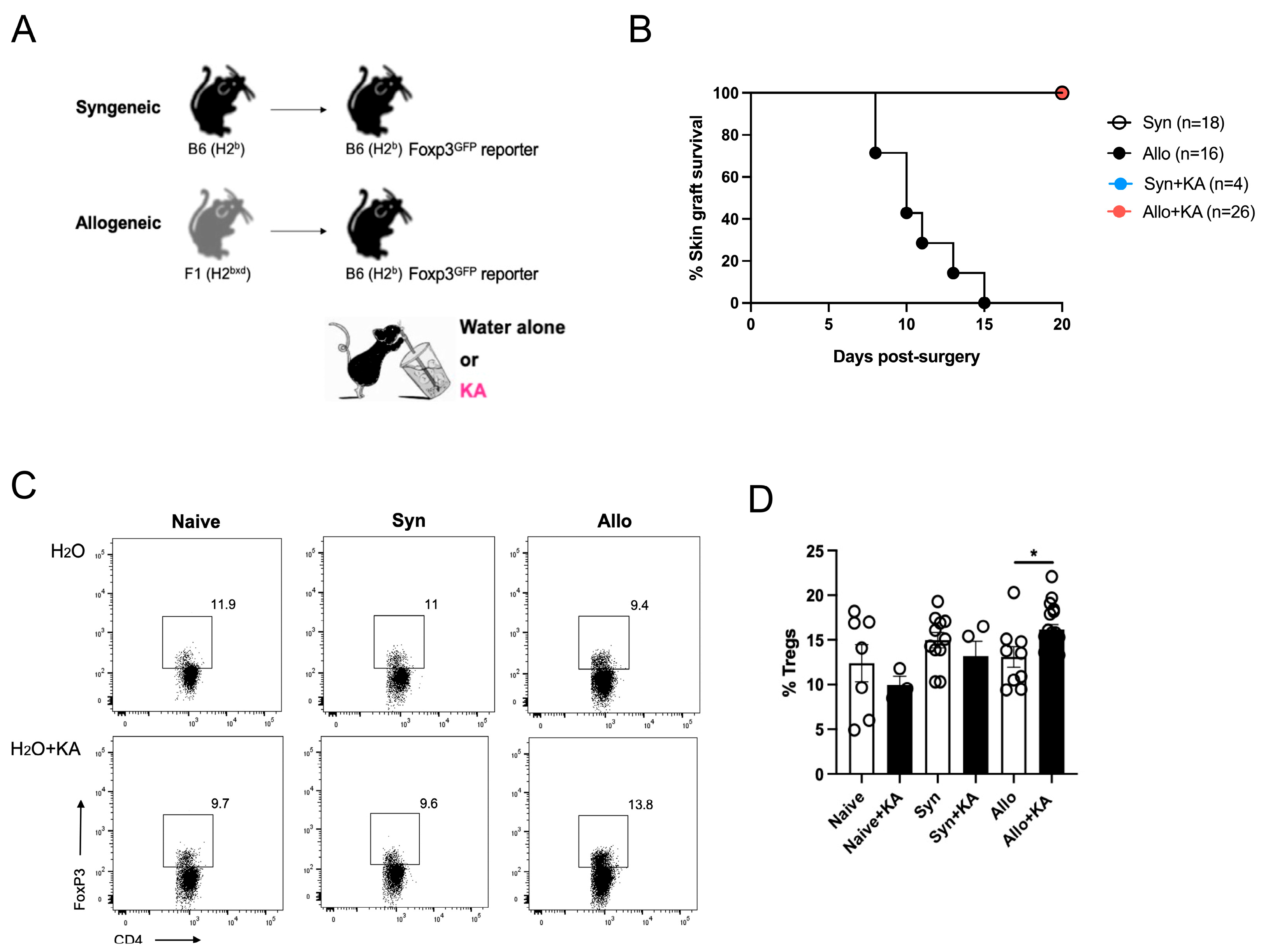 Nutrients 16 03655 g005 Nutrients 16 03655 g005