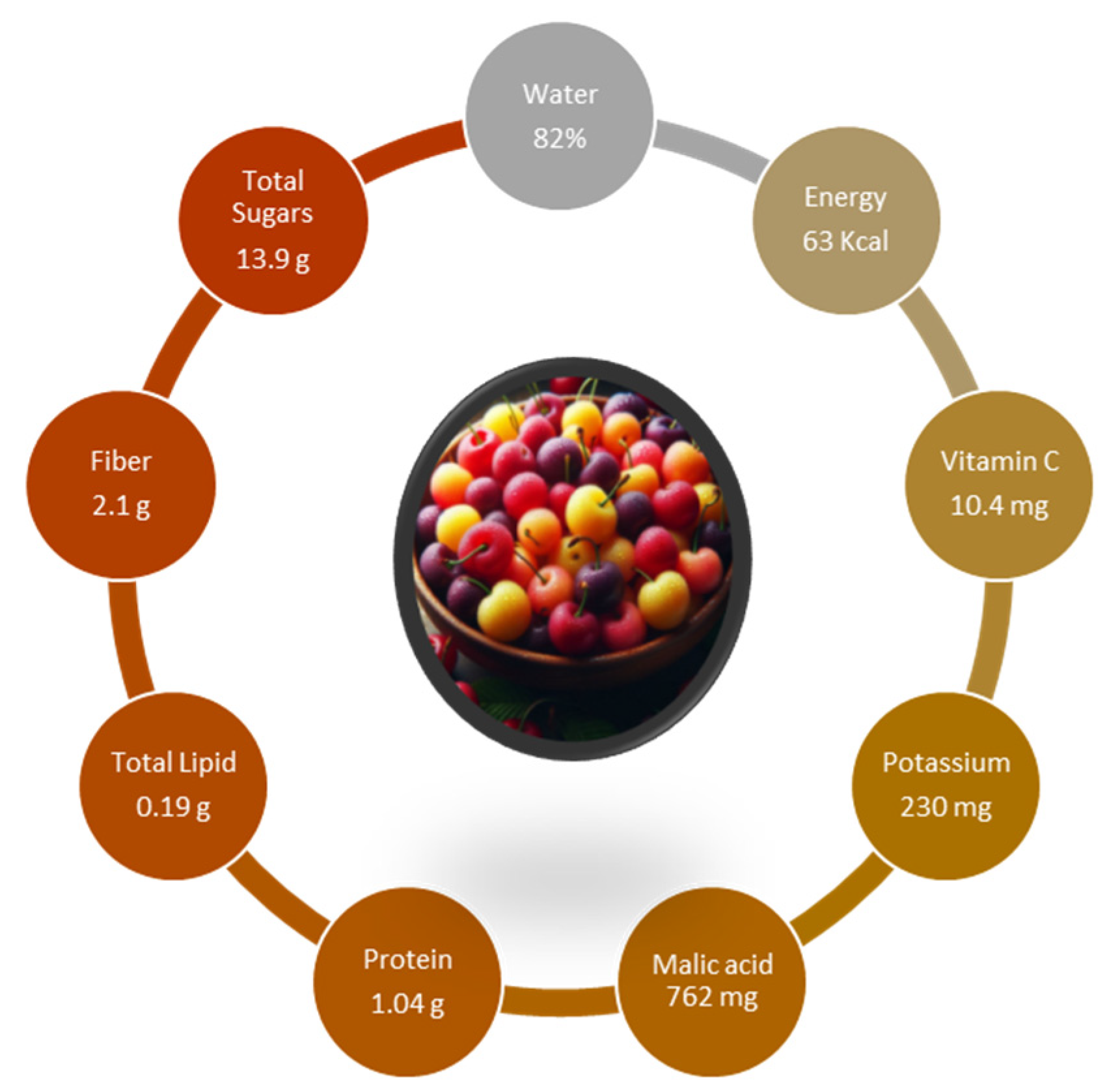 Nutrients 16 03660 g001