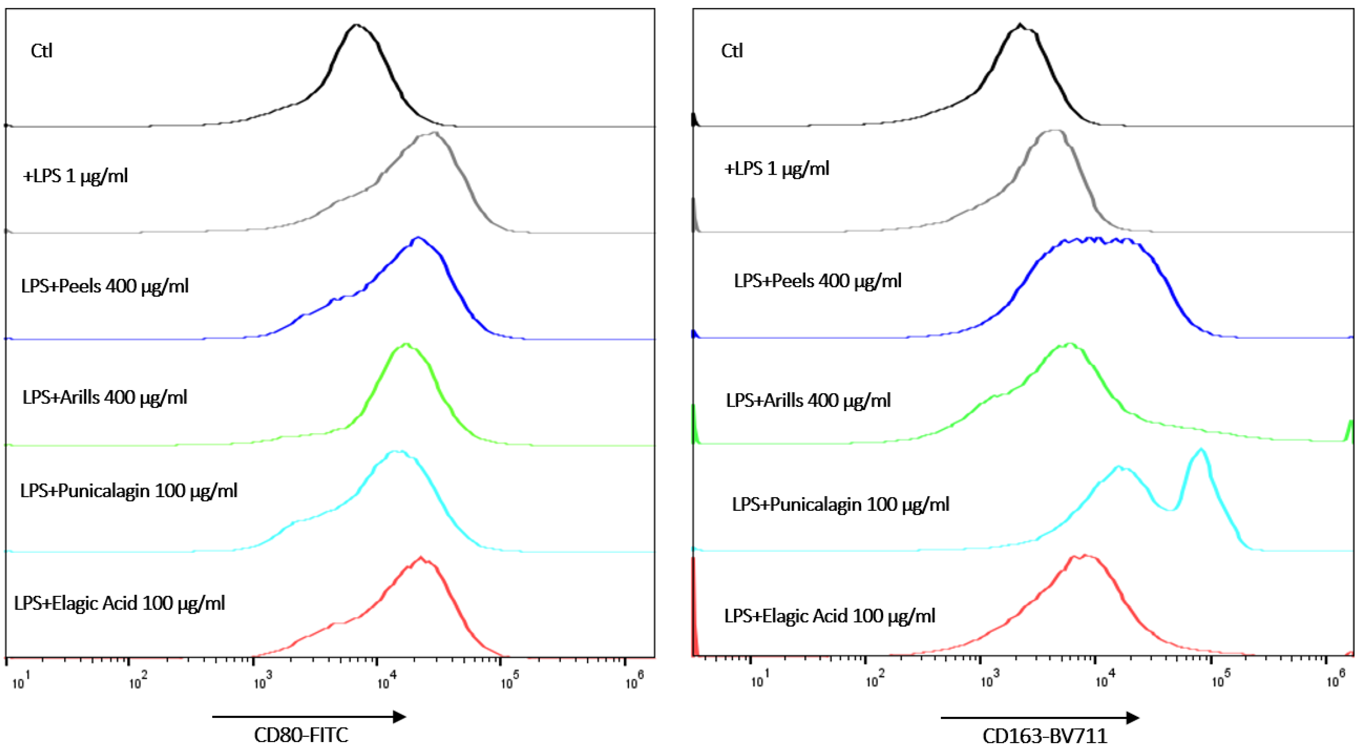 Nutrients 16 03667 g007c
