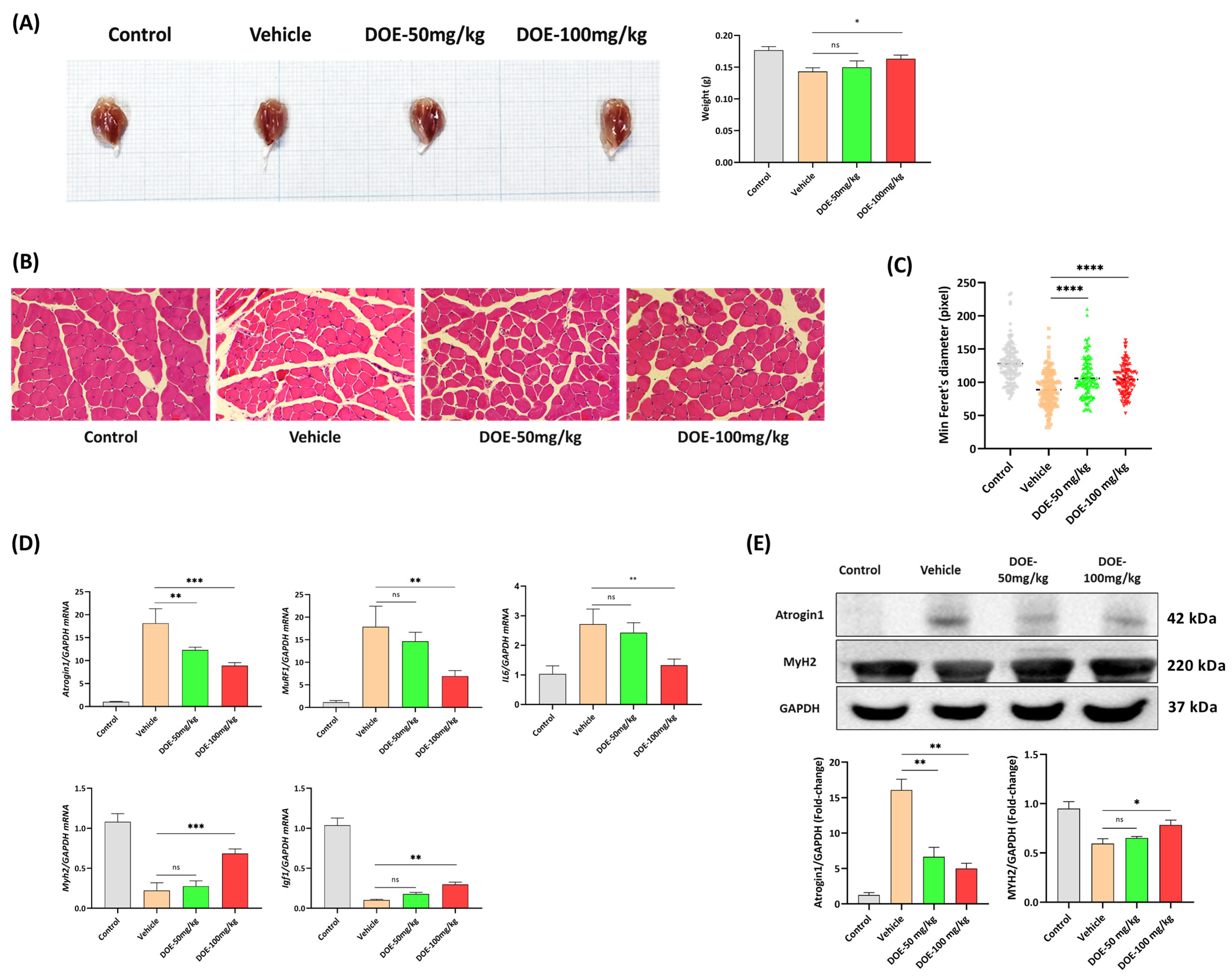 Nutrients 16 03671 g002