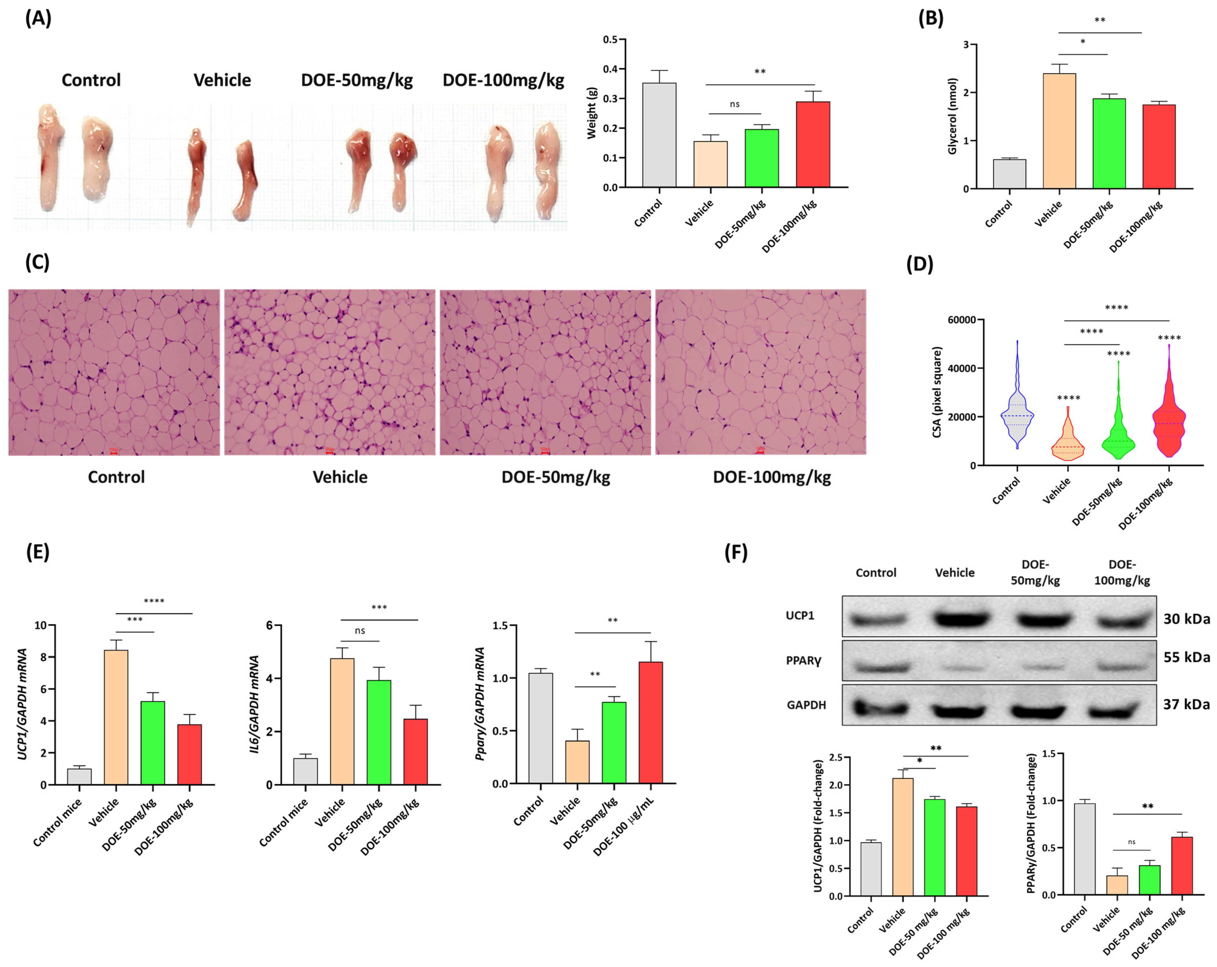 Nutrients 16 03671 g003