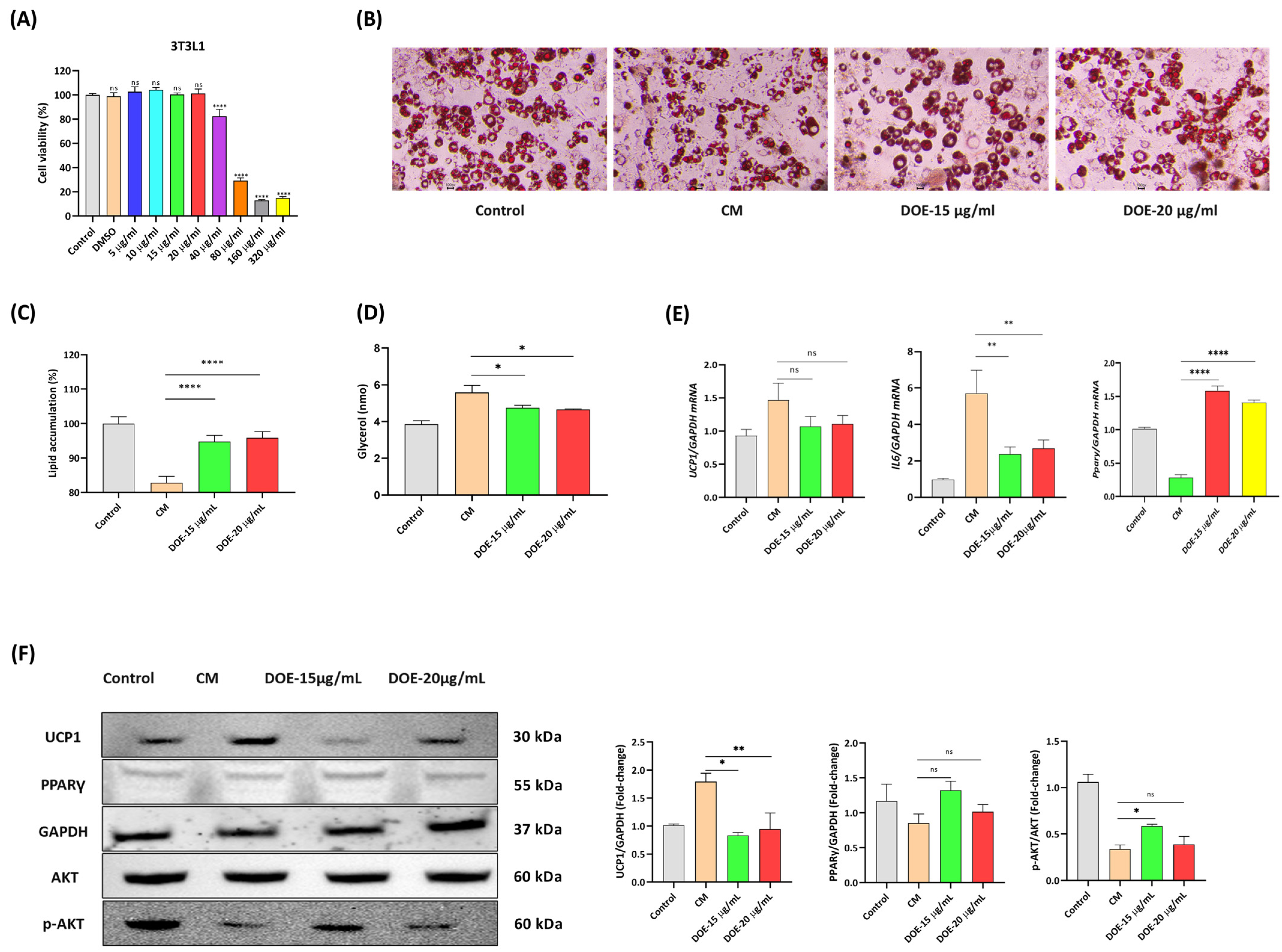 Nutrients 16 03671 g005