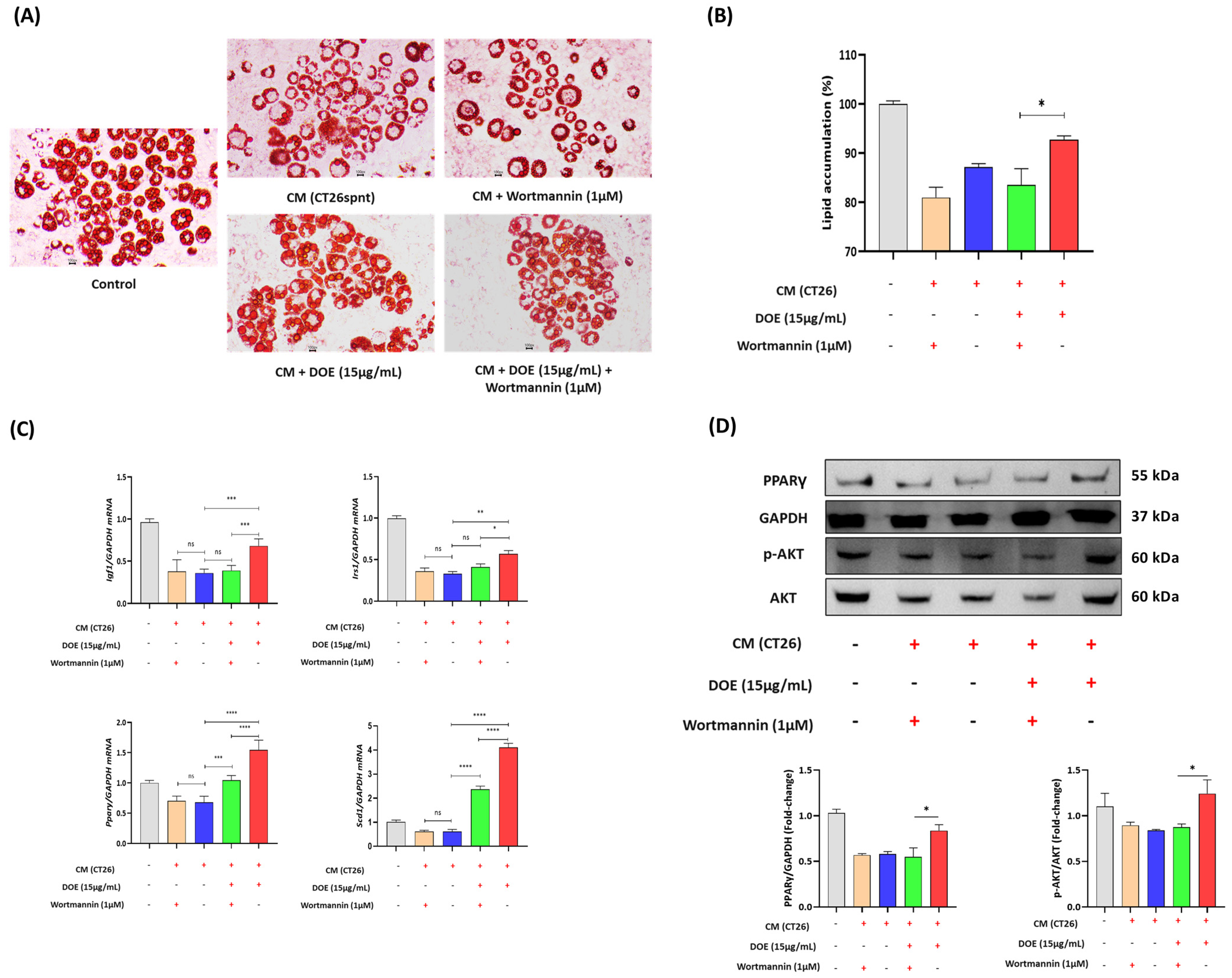 Nutrients 16 03671 g007